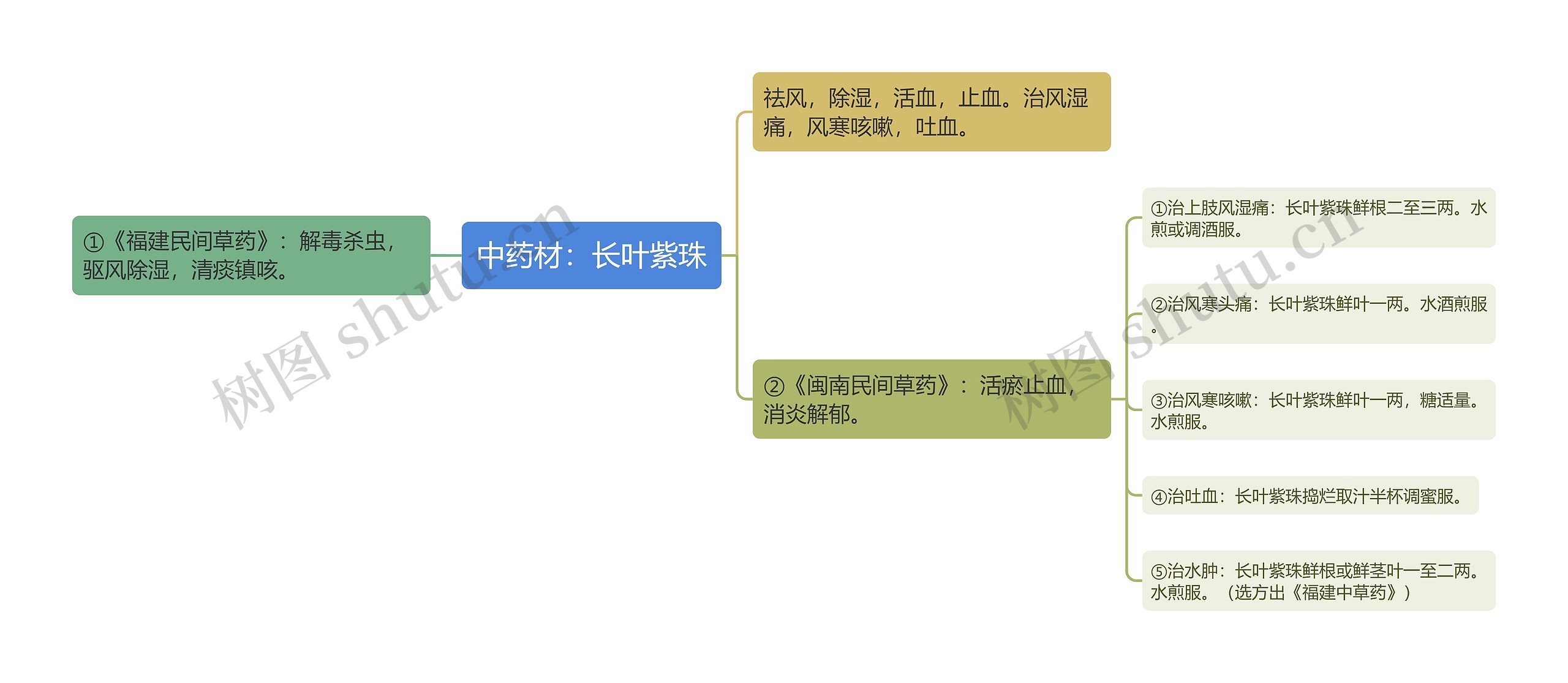 中药材：长叶紫珠