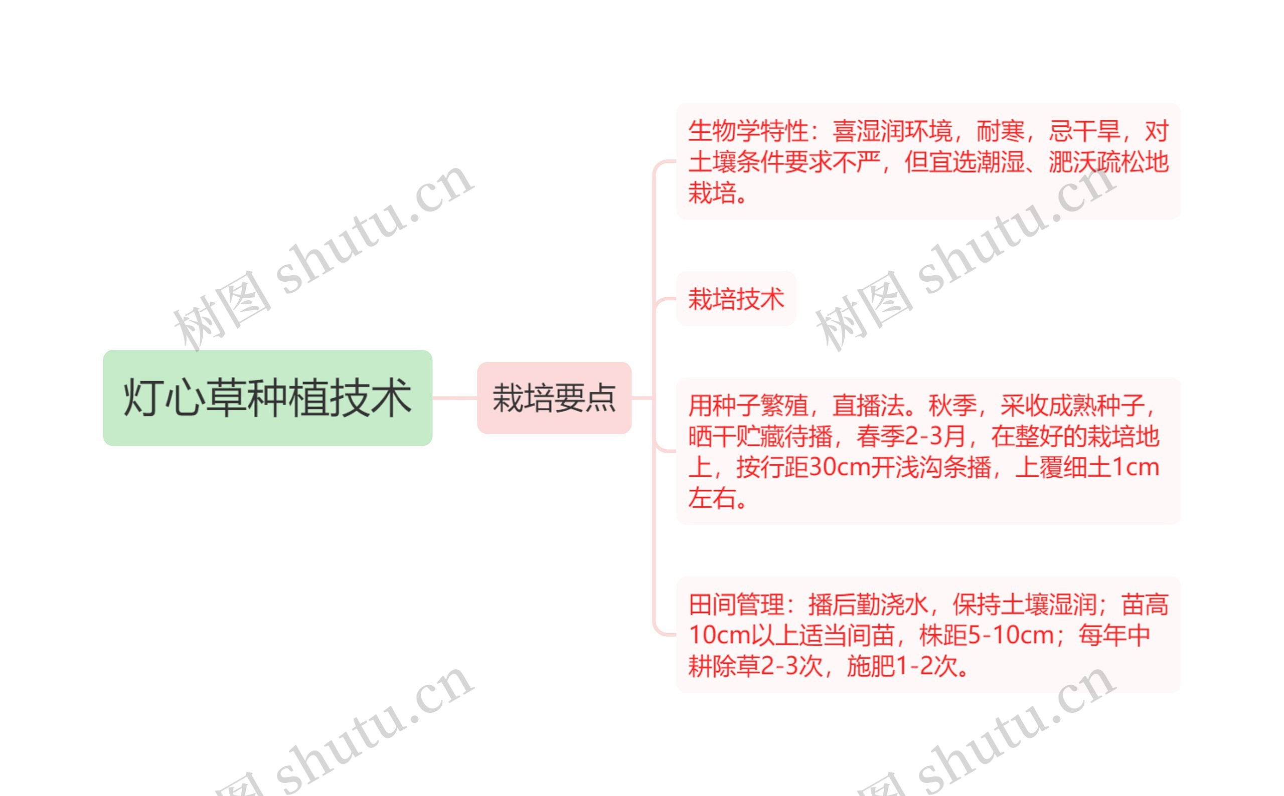 灯心草种植技术