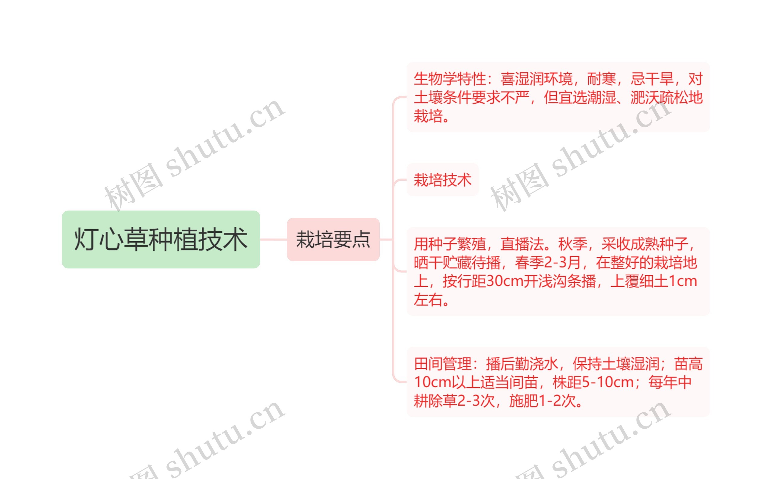 灯心草种植技术思维导图