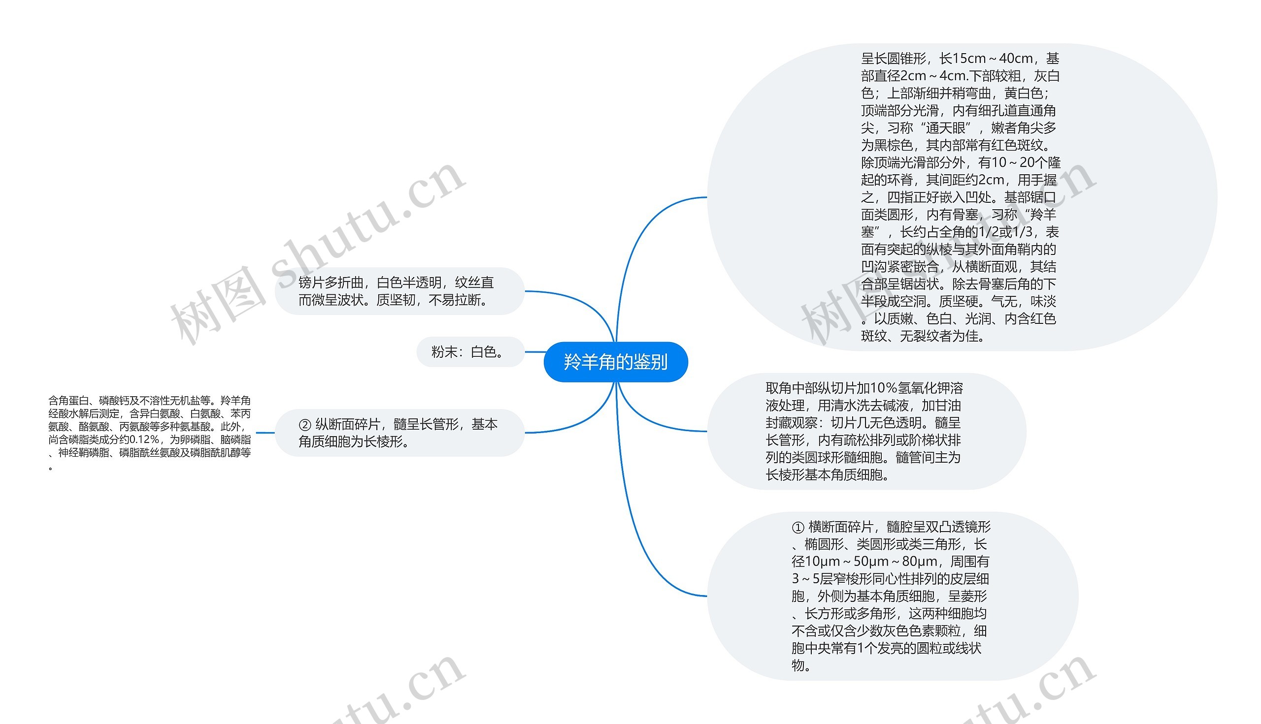 羚羊角的鉴别思维导图