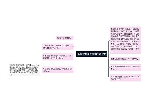 五指毛桃的炮制|功能主治