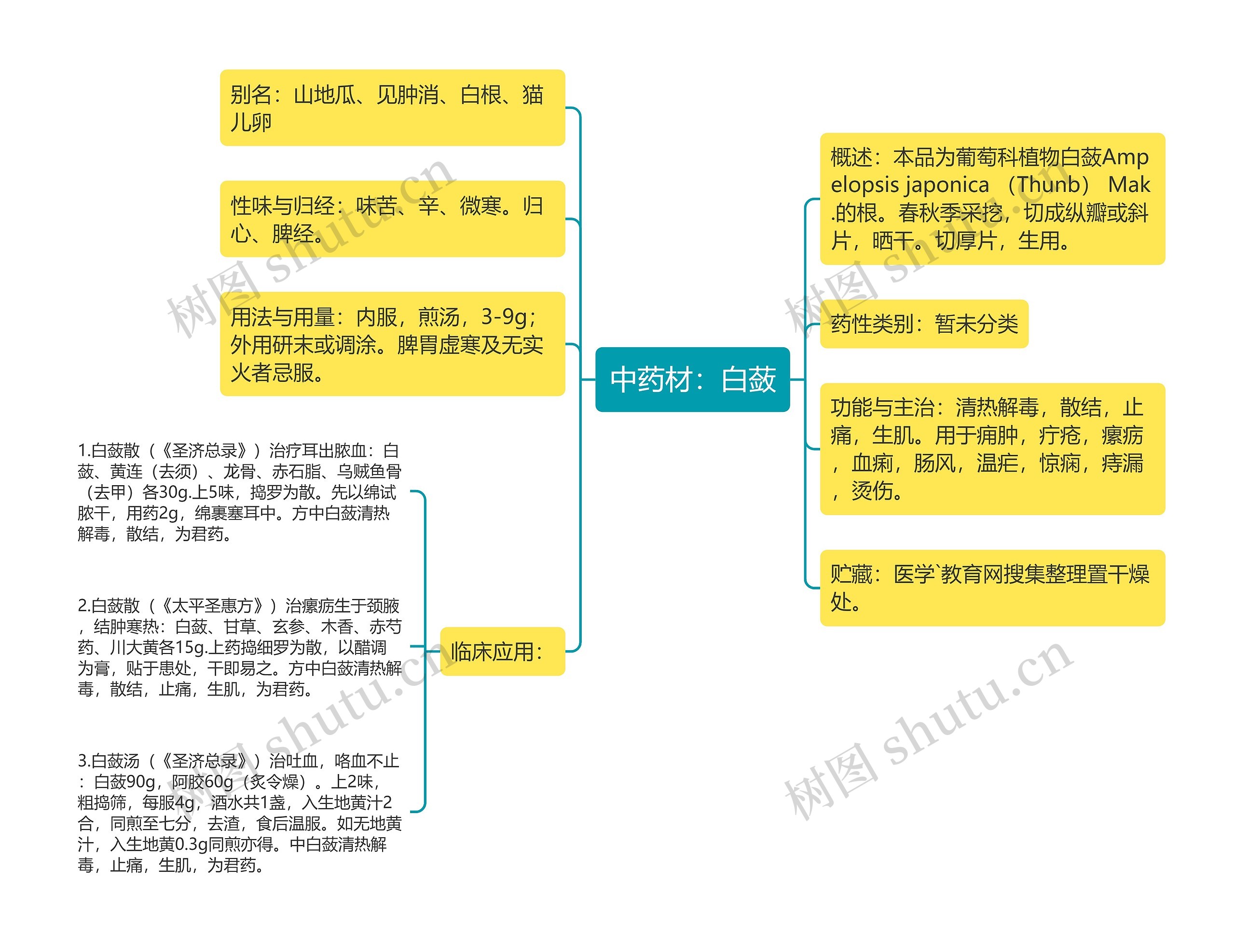 中药材：白蔹思维导图