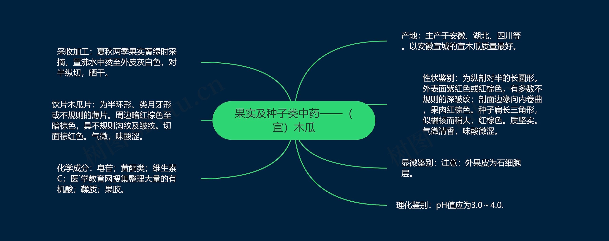 果实及种子类中药——(宣)木瓜 果实及种子类中药——(宣)木瓜