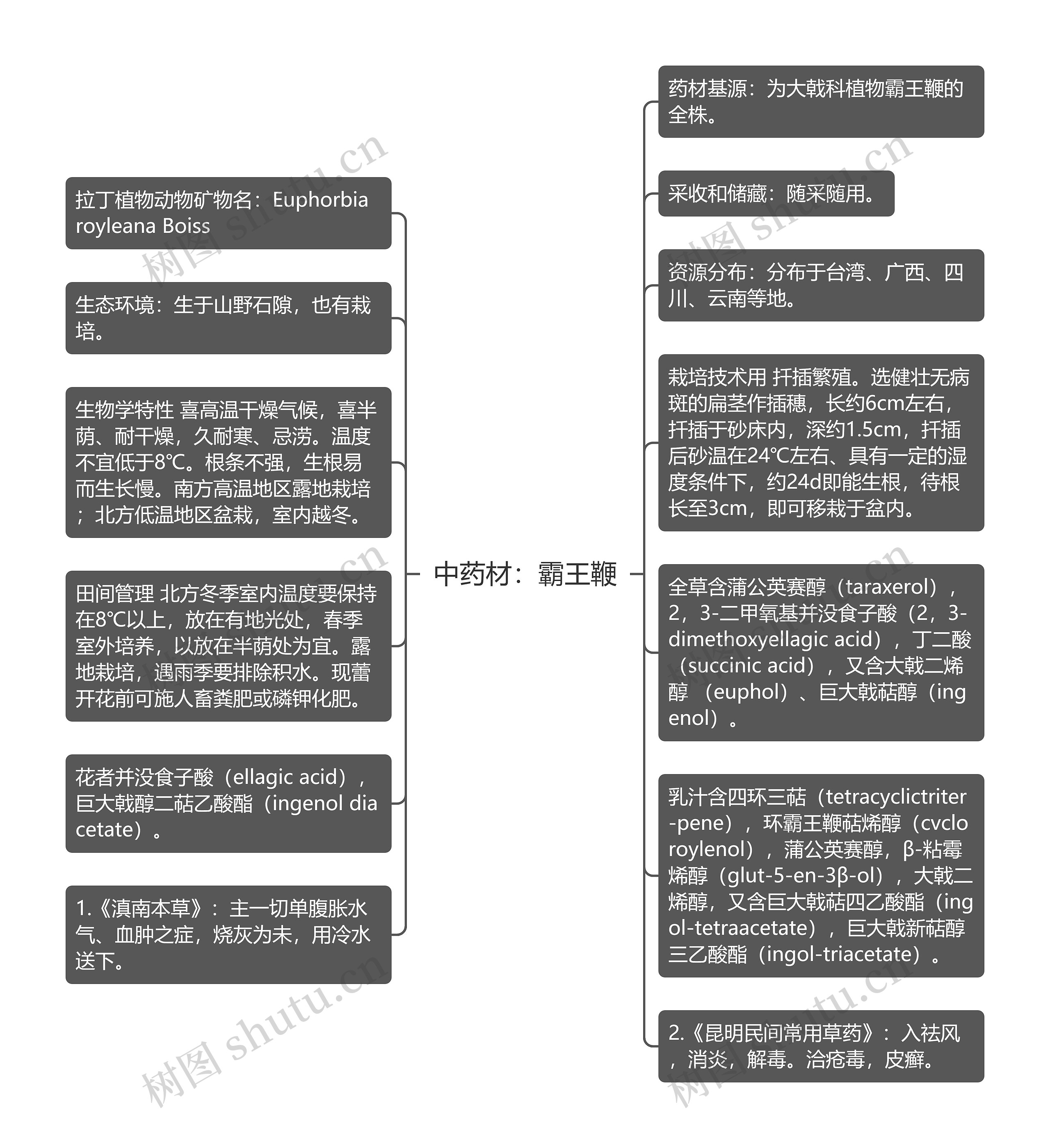 中药材：霸王鞭思维导图