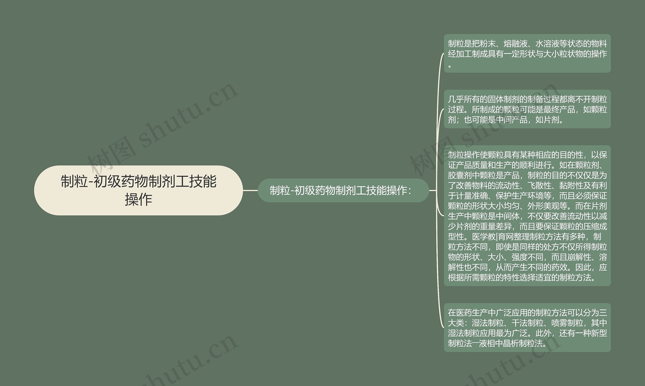 制粒-初级药物制剂工技能操作