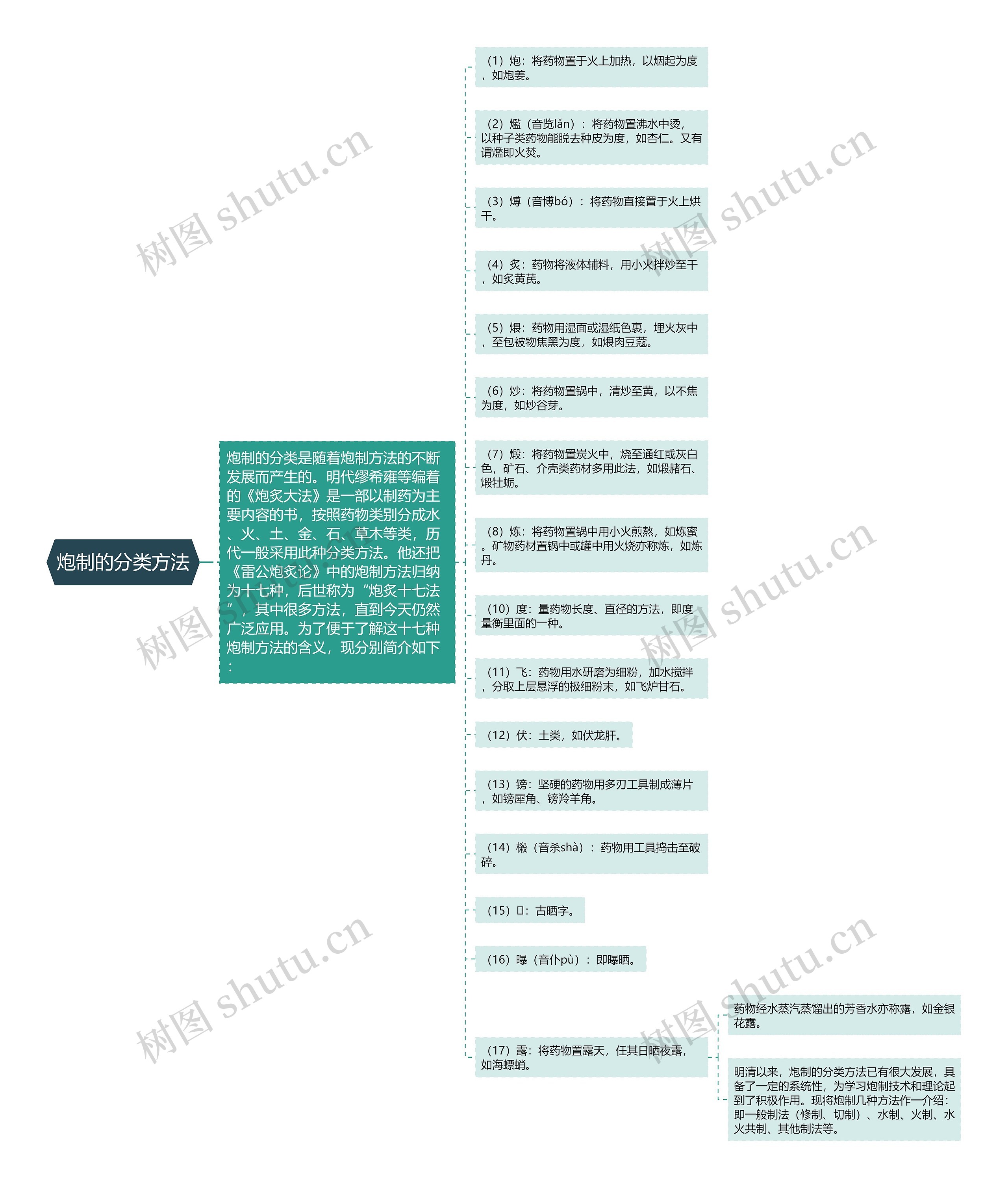 炮制的分类方法思维导图