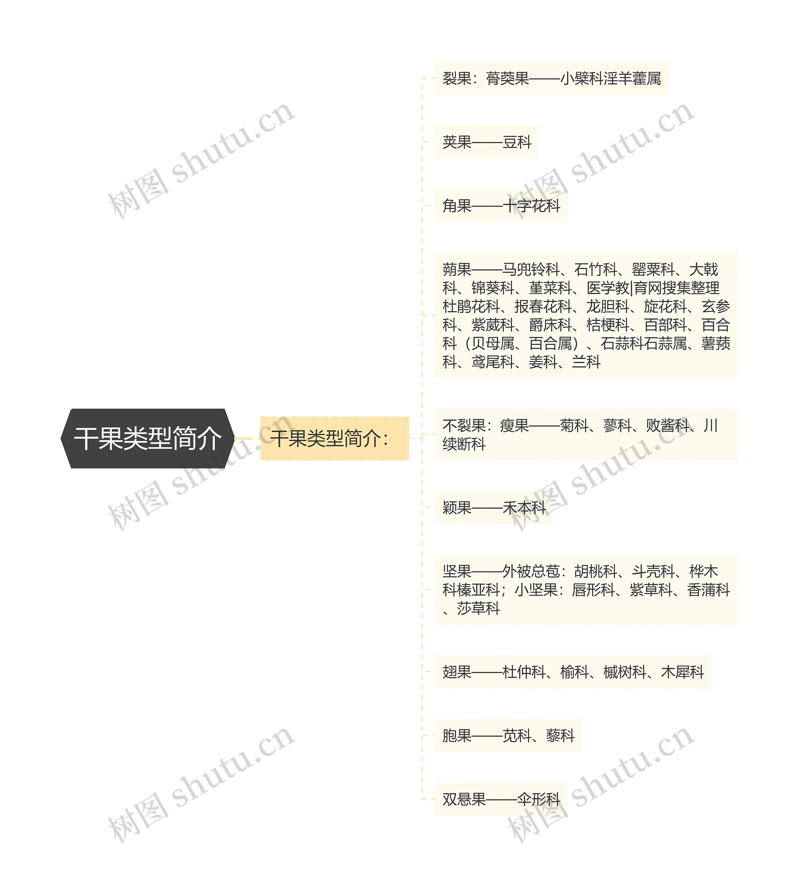 干果类型简介