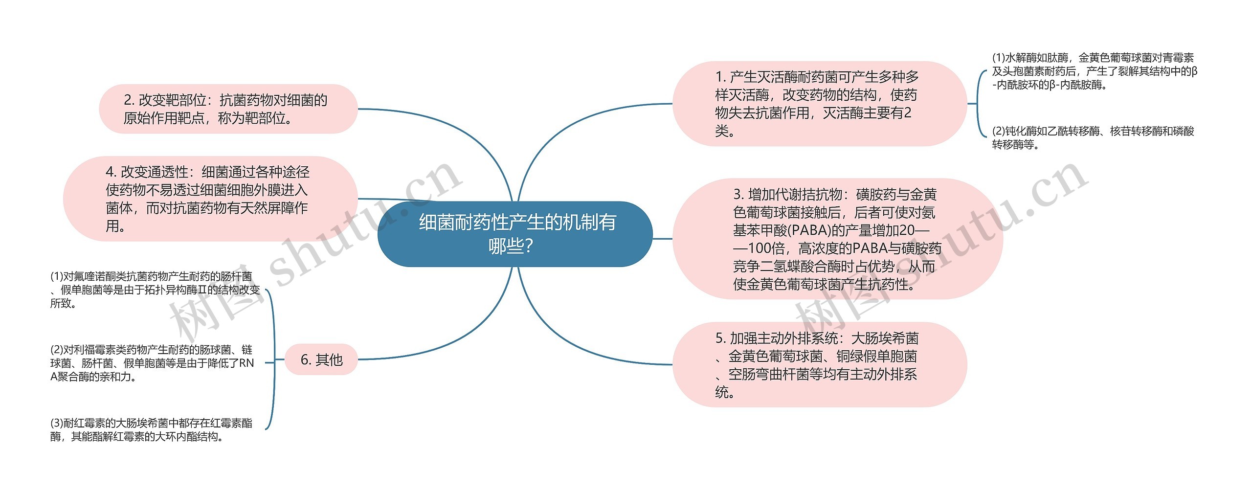  细菌耐药性产生的机制有哪些？思维导图