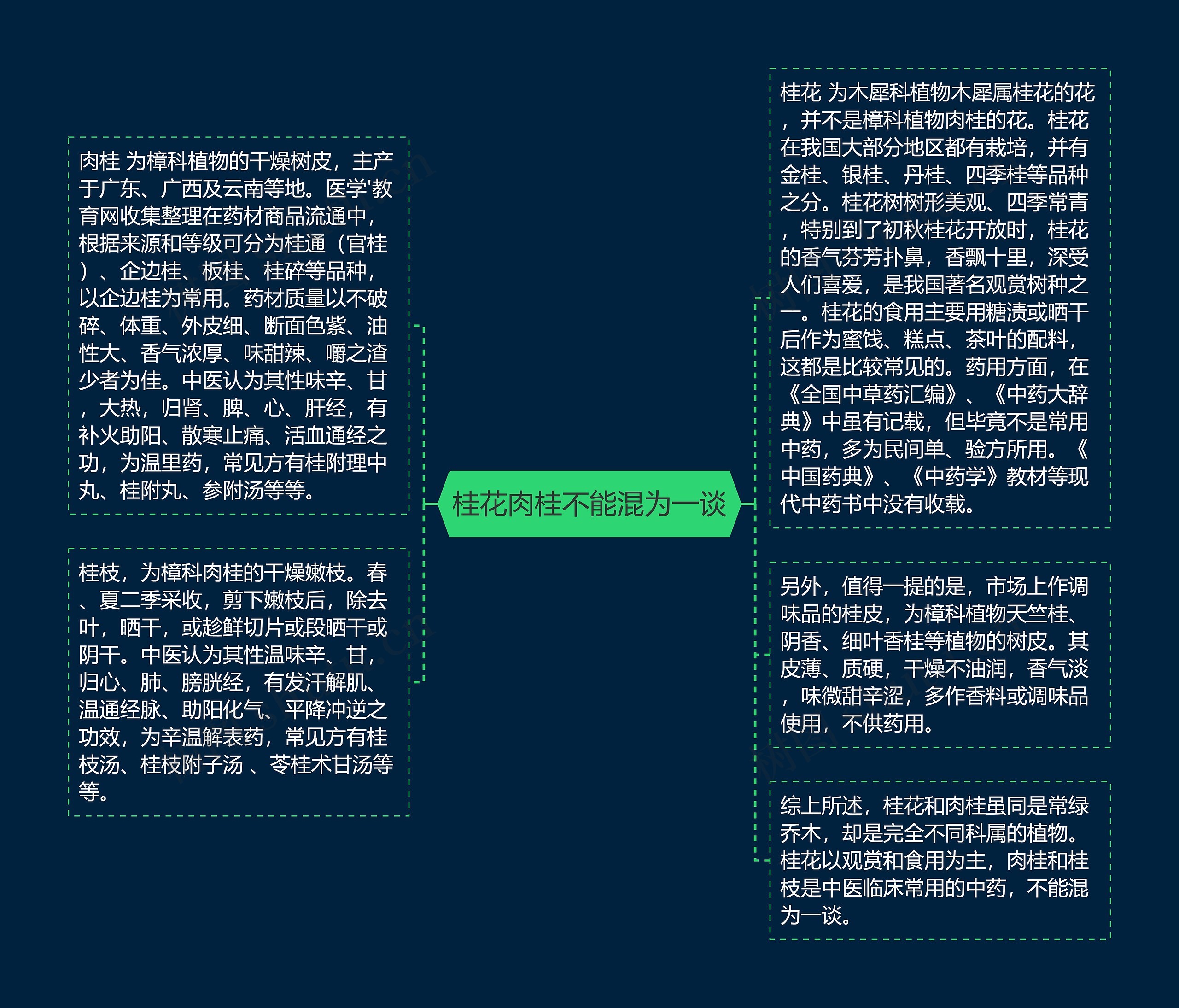 桂花肉桂不能混为一谈思维导图