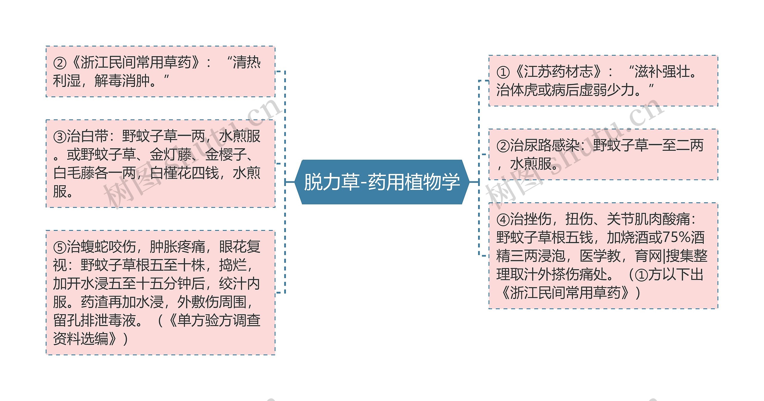 脱力草-药用植物学 脱力草-药用植物学