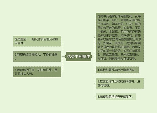 花类中药概述