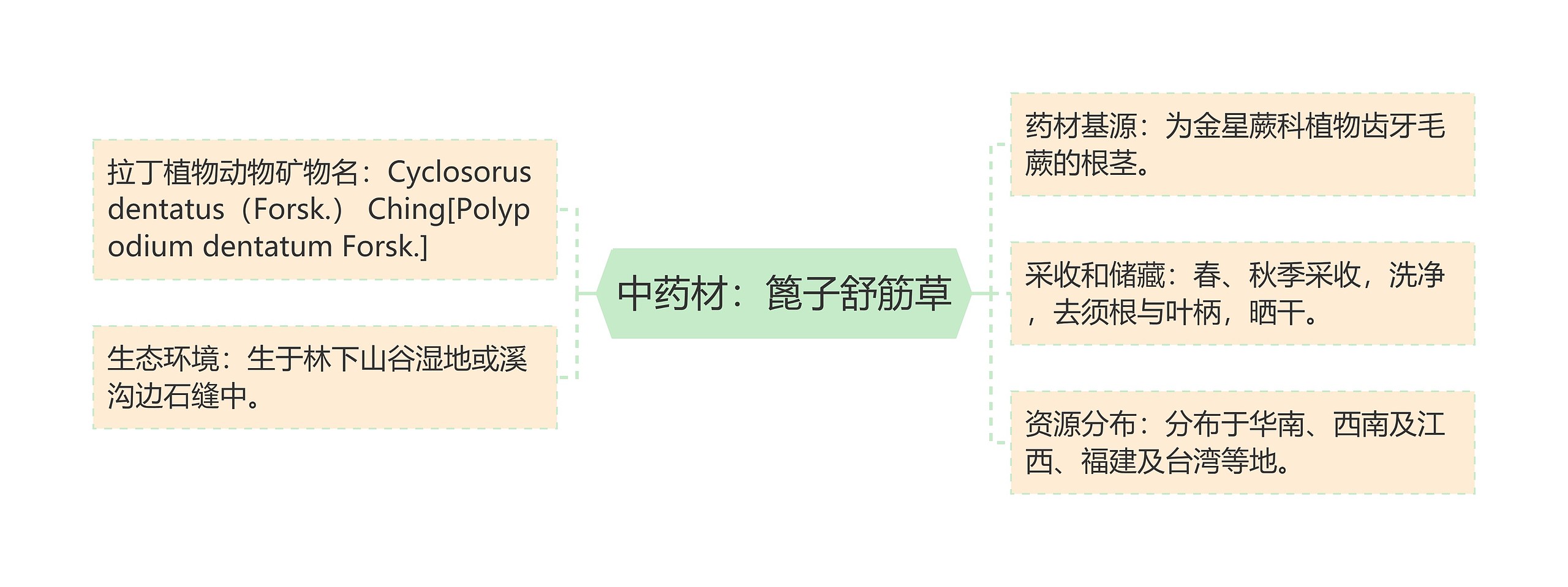 中药材：篦子舒筋草