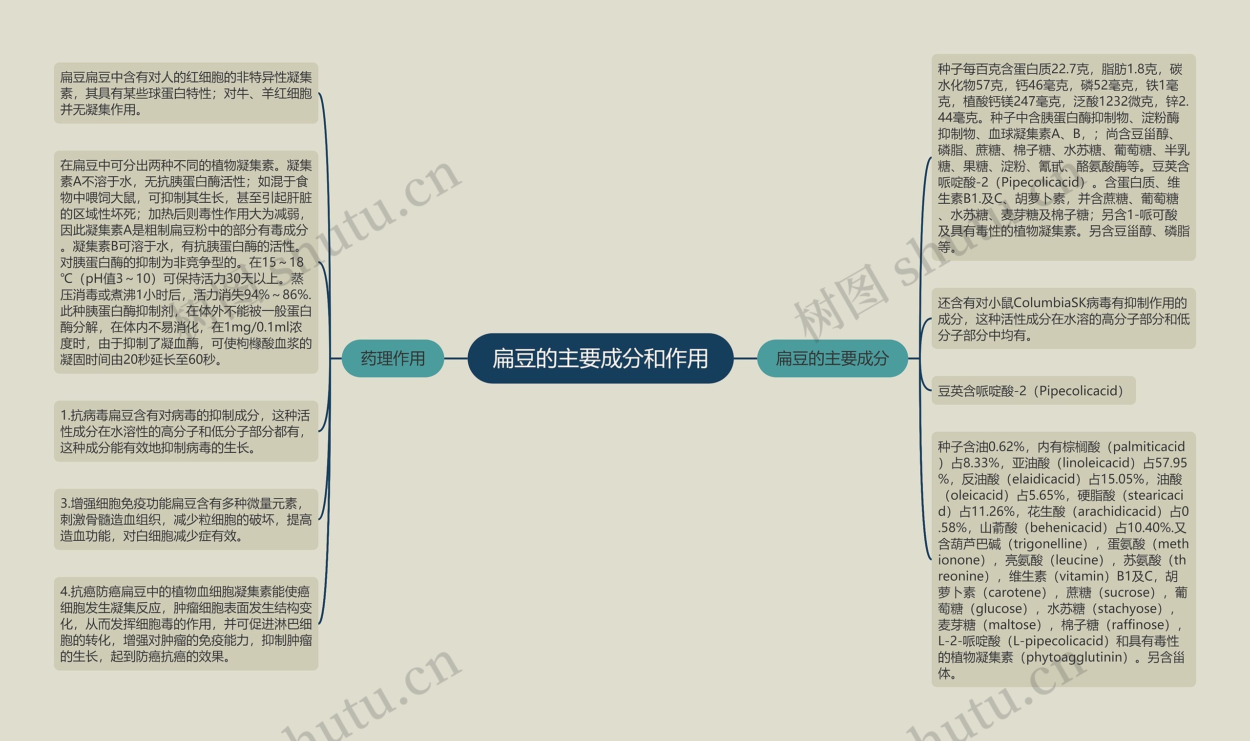 扁豆的主要成分和作用思维导图