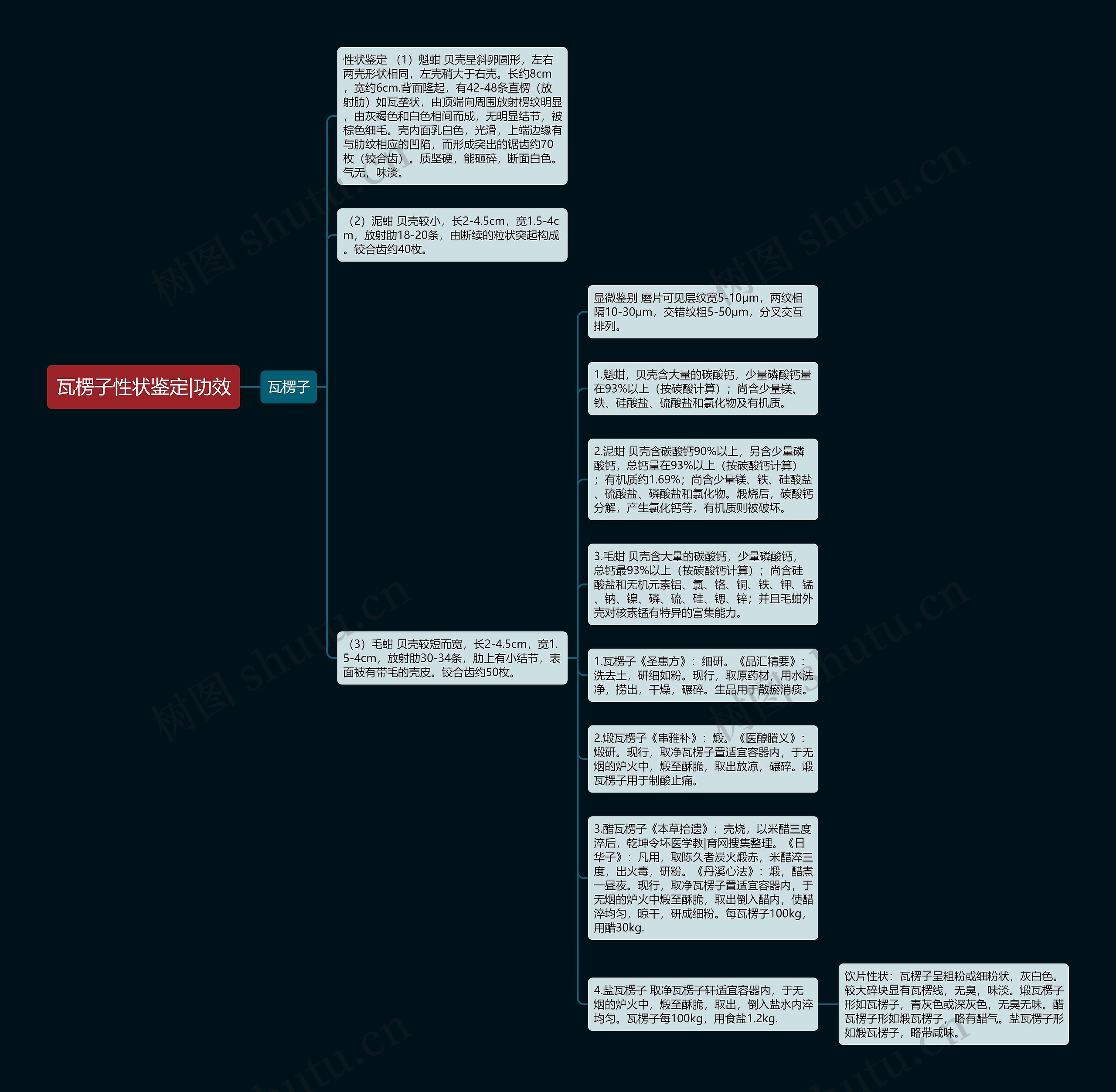 瓦楞子性状鉴定|功效思维导图