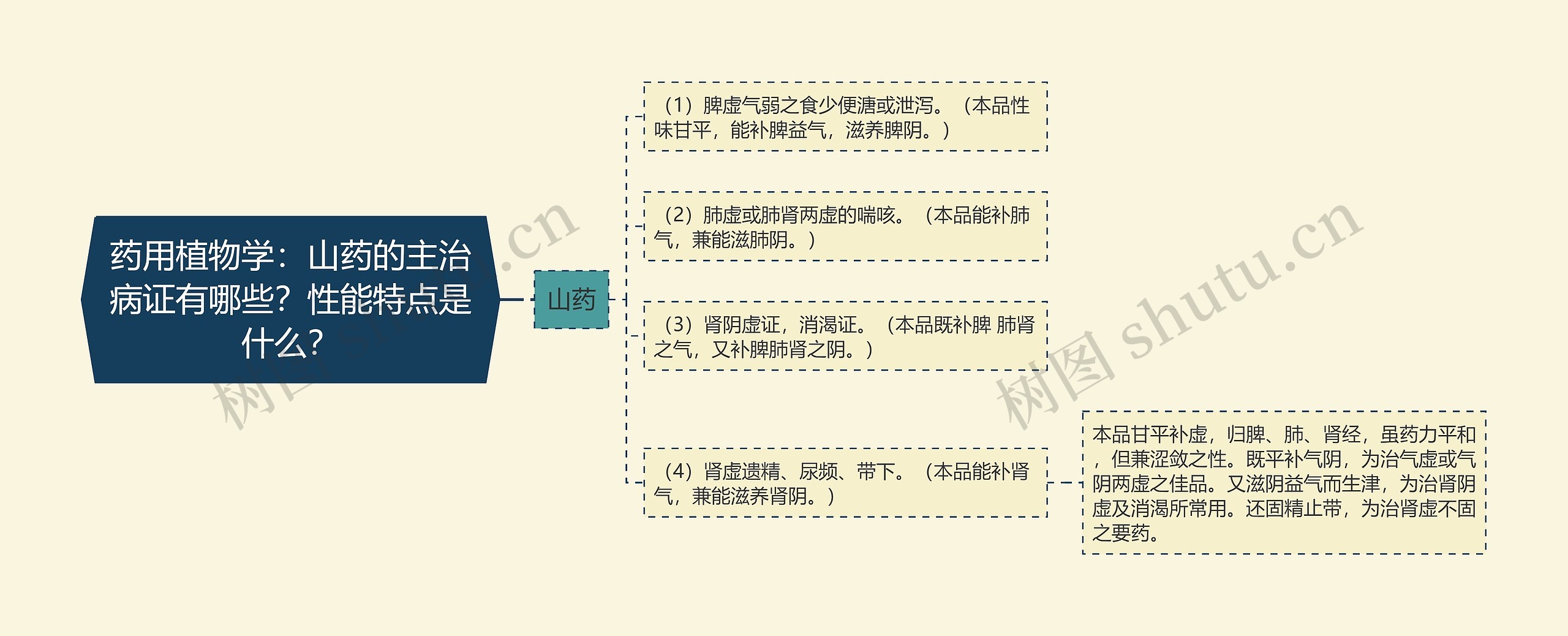 药用植物学：山药的主治病证有哪些？性能特点是什么？