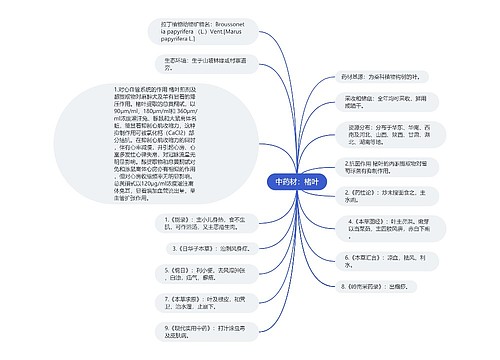 中药材：楮叶