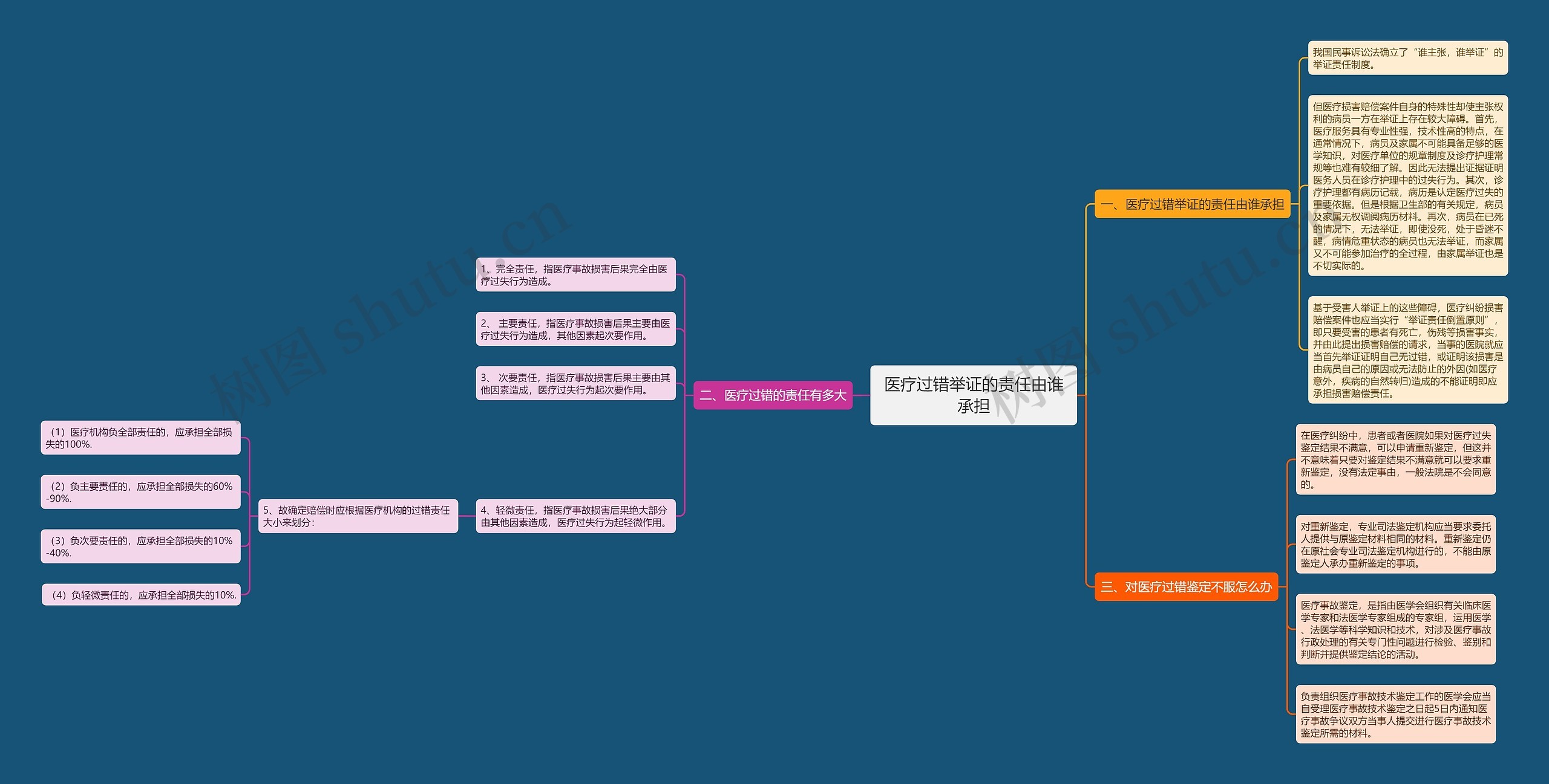 医疗过错举证的责任由谁承担思维导图