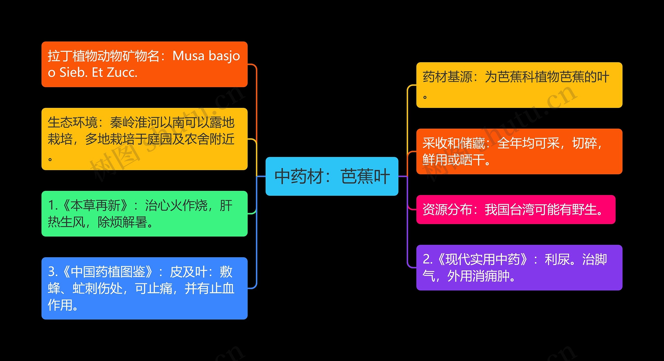 中药材：芭蕉叶思维导图