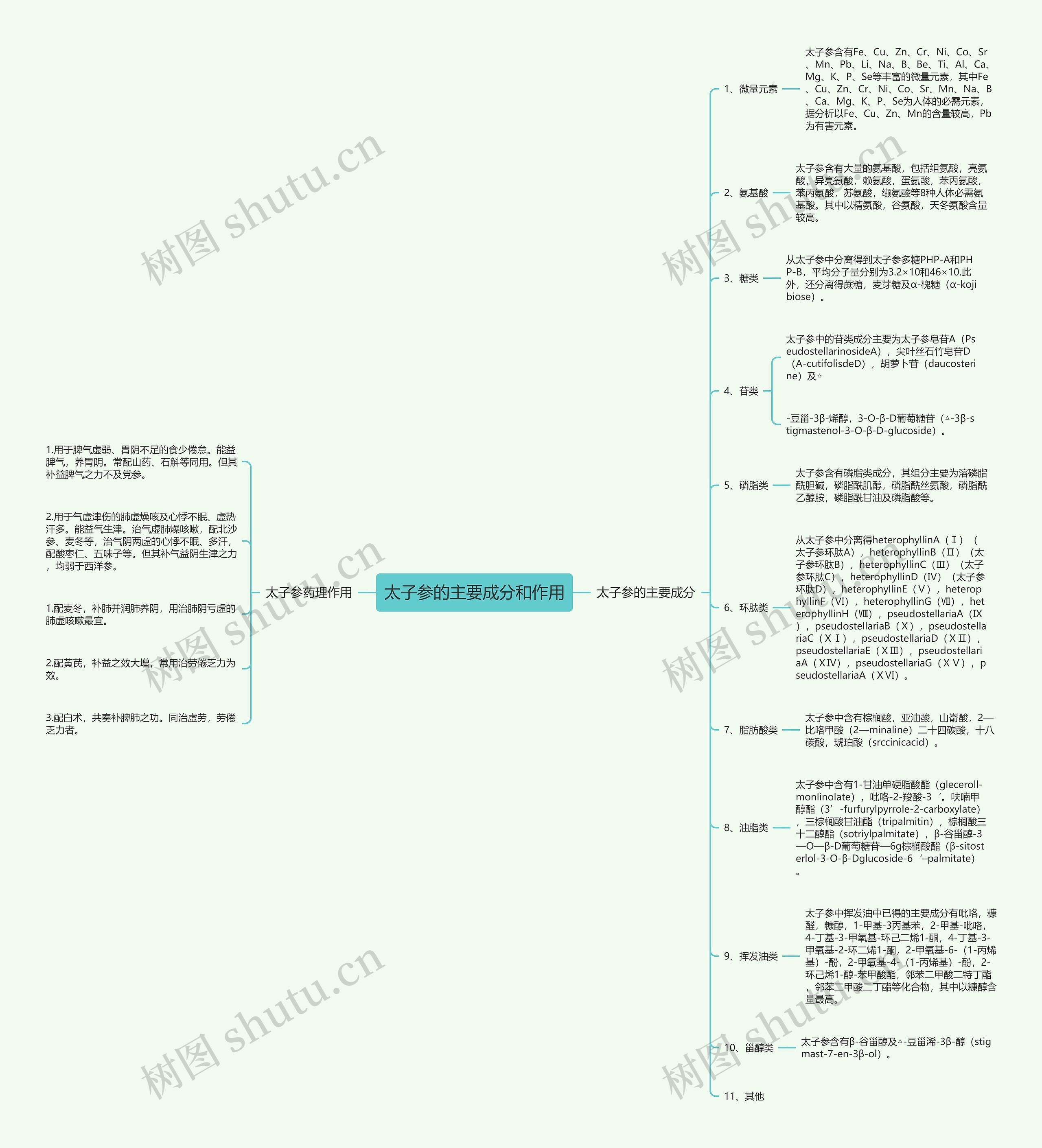 太子参的主要成分和作用思维导图