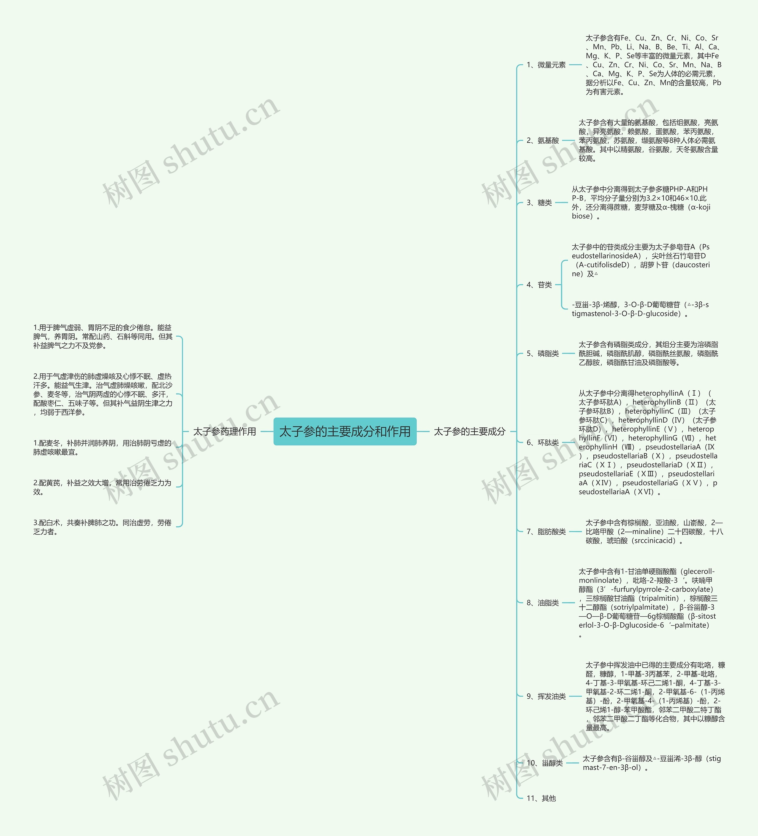 太子参的主要成分和作用 太子参的主要成分和作用