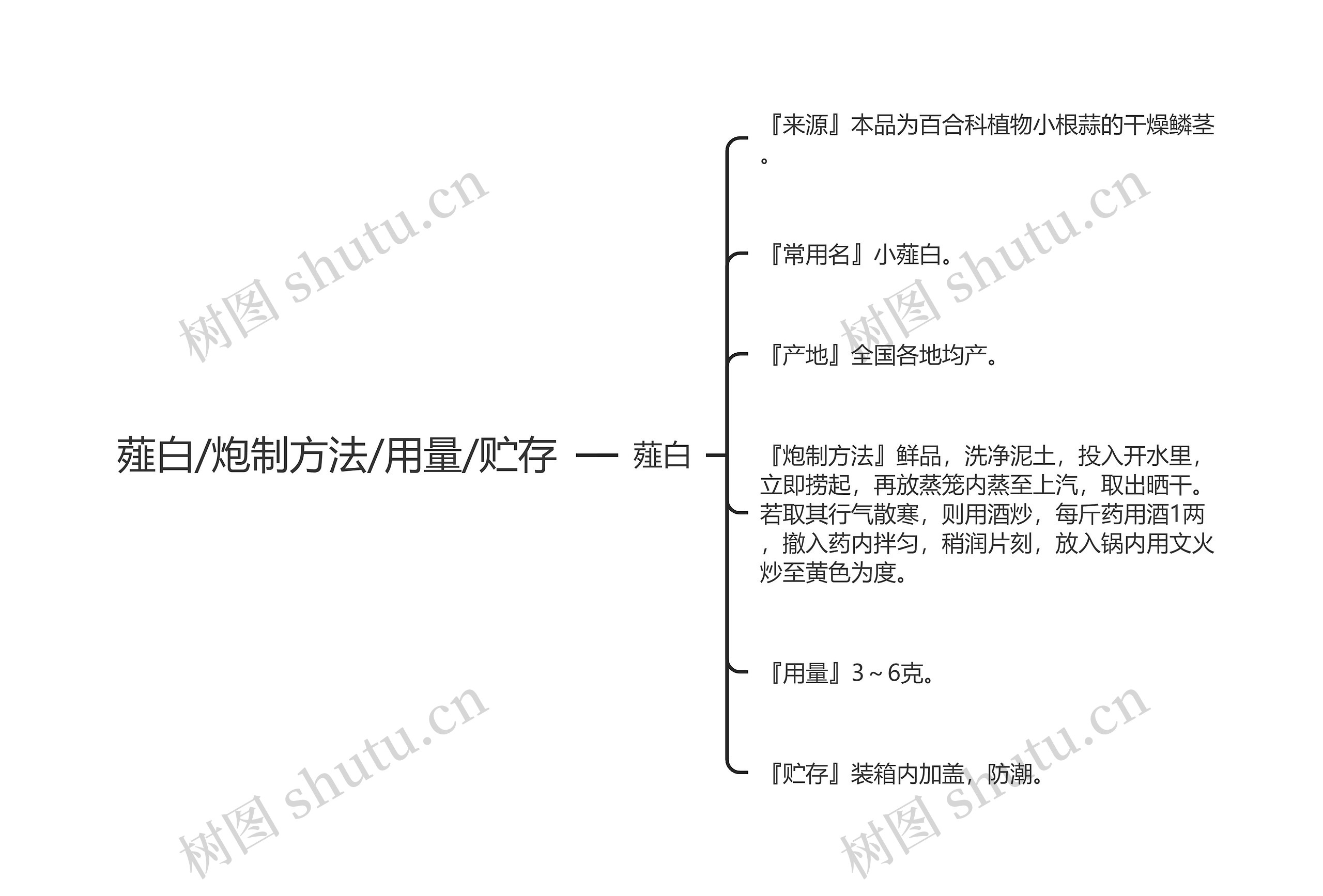 薤白/炮制方法/用量/贮存思维导图