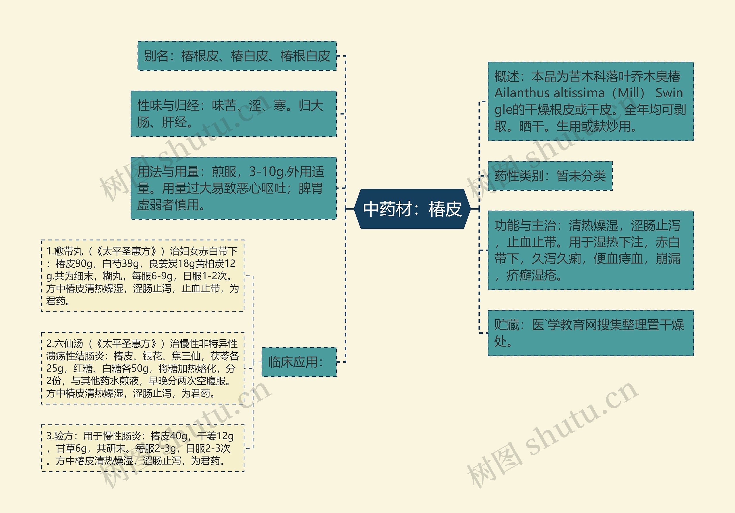 中药材：椿皮思维导图