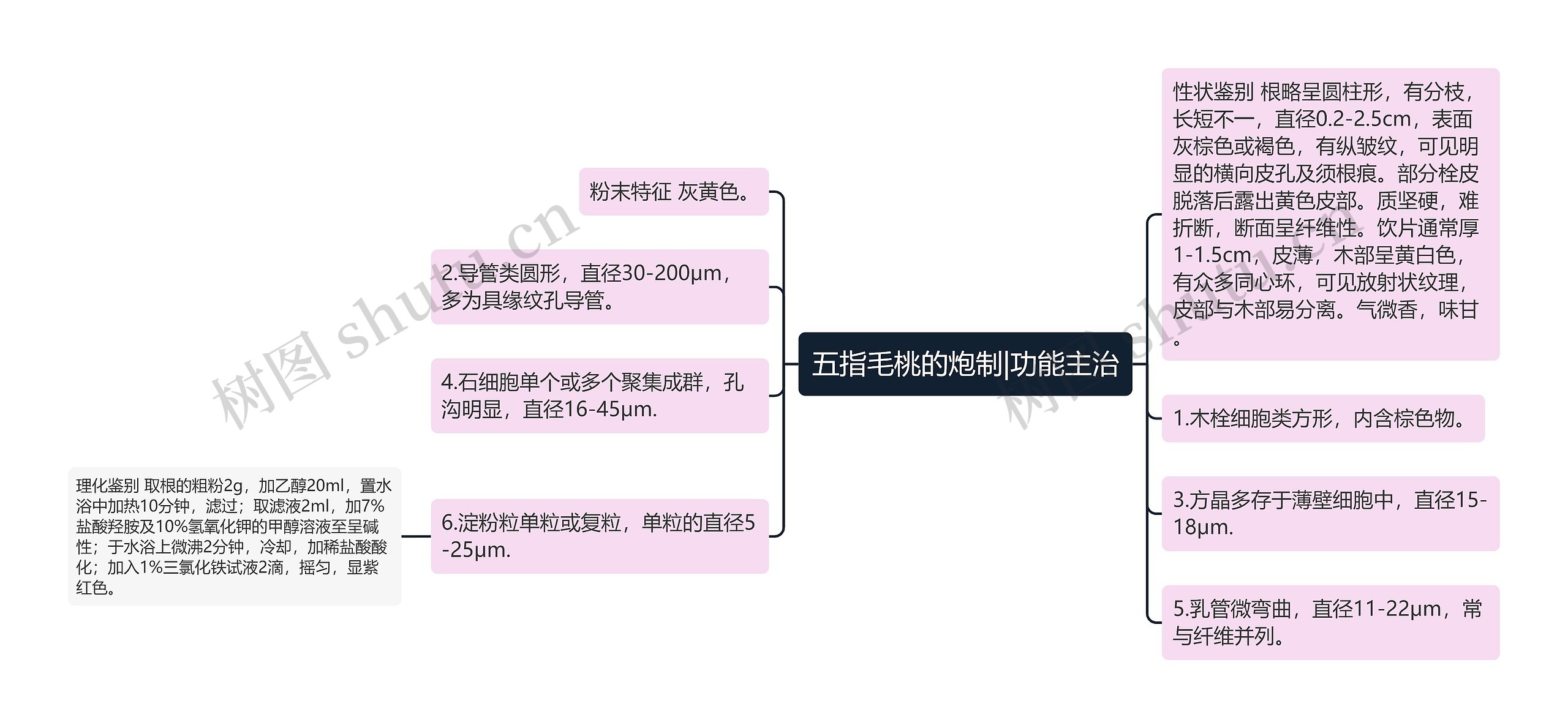 五指毛桃的炮制|功能主治 五指毛桃的炮制|功能主治