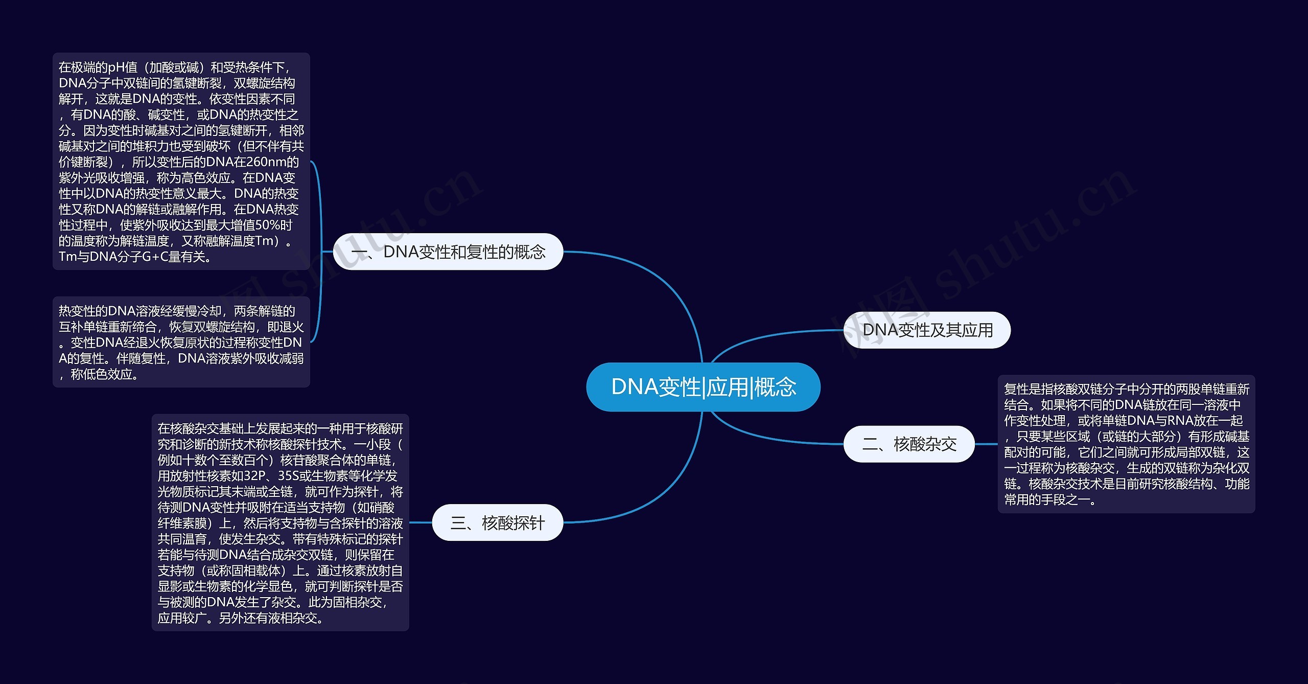 DNA变性|应用|概念思维导图