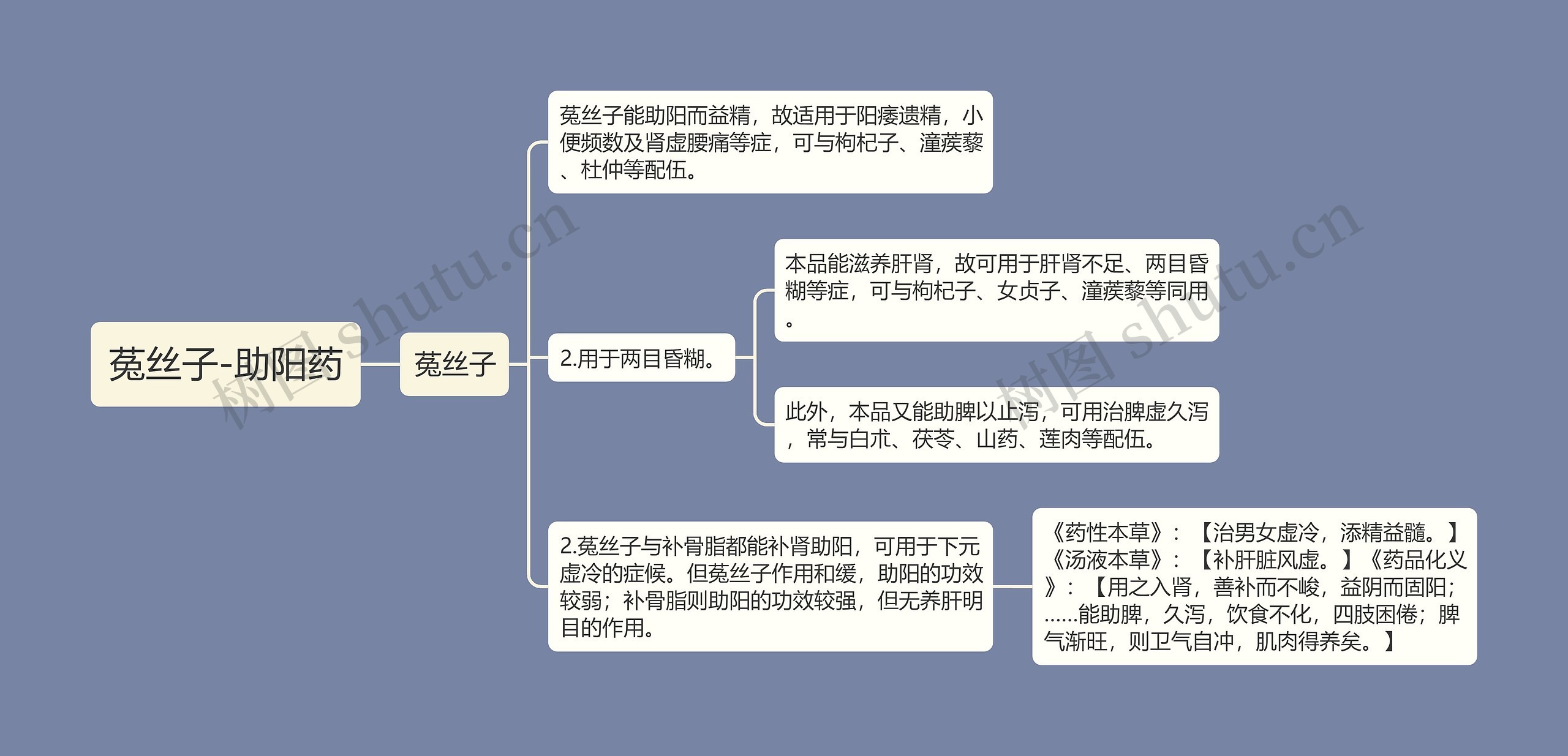 菟丝子-助阳药思维导图
