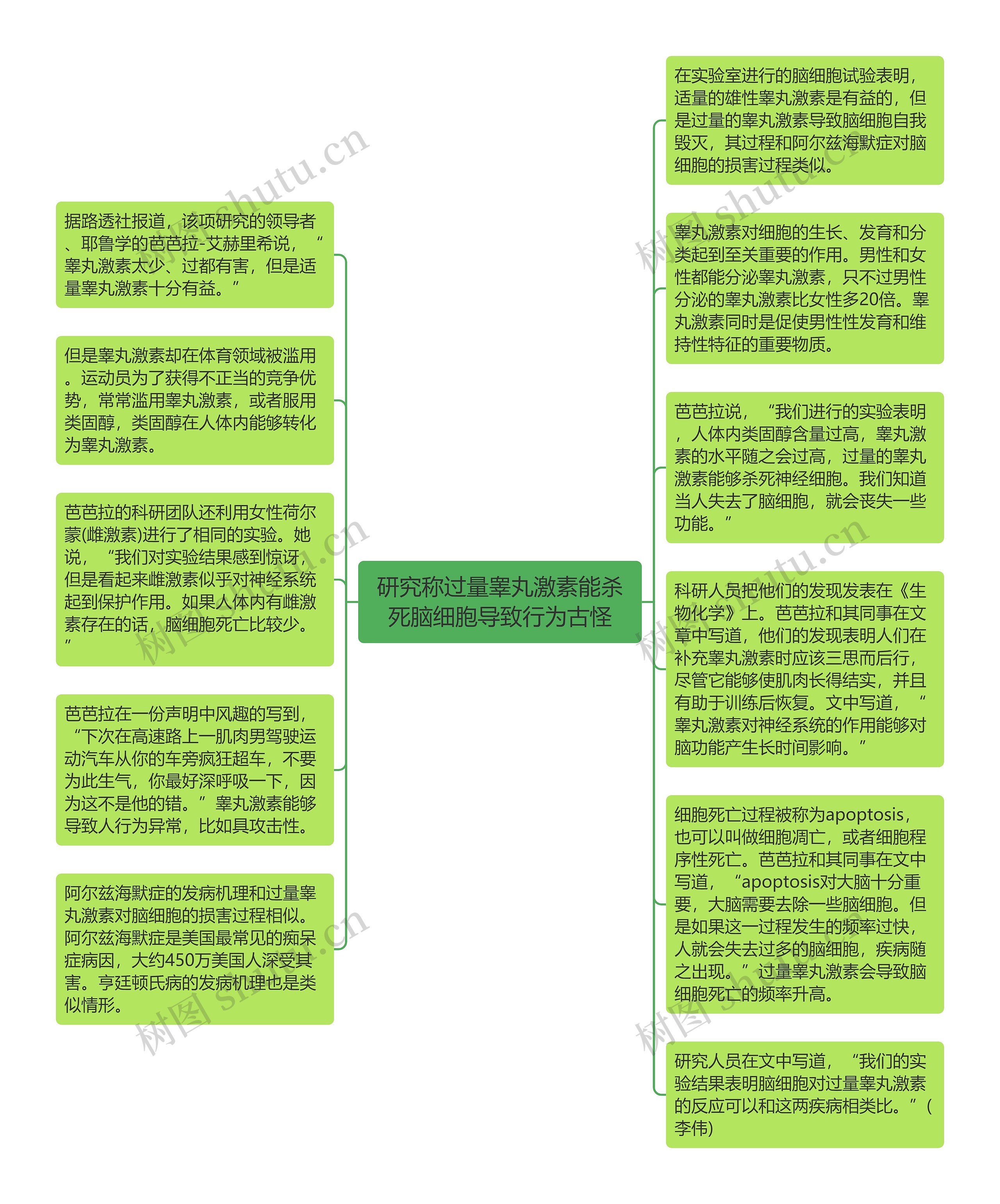 研究称过量睾丸激素能杀死脑细胞导致行为古怪思维导图