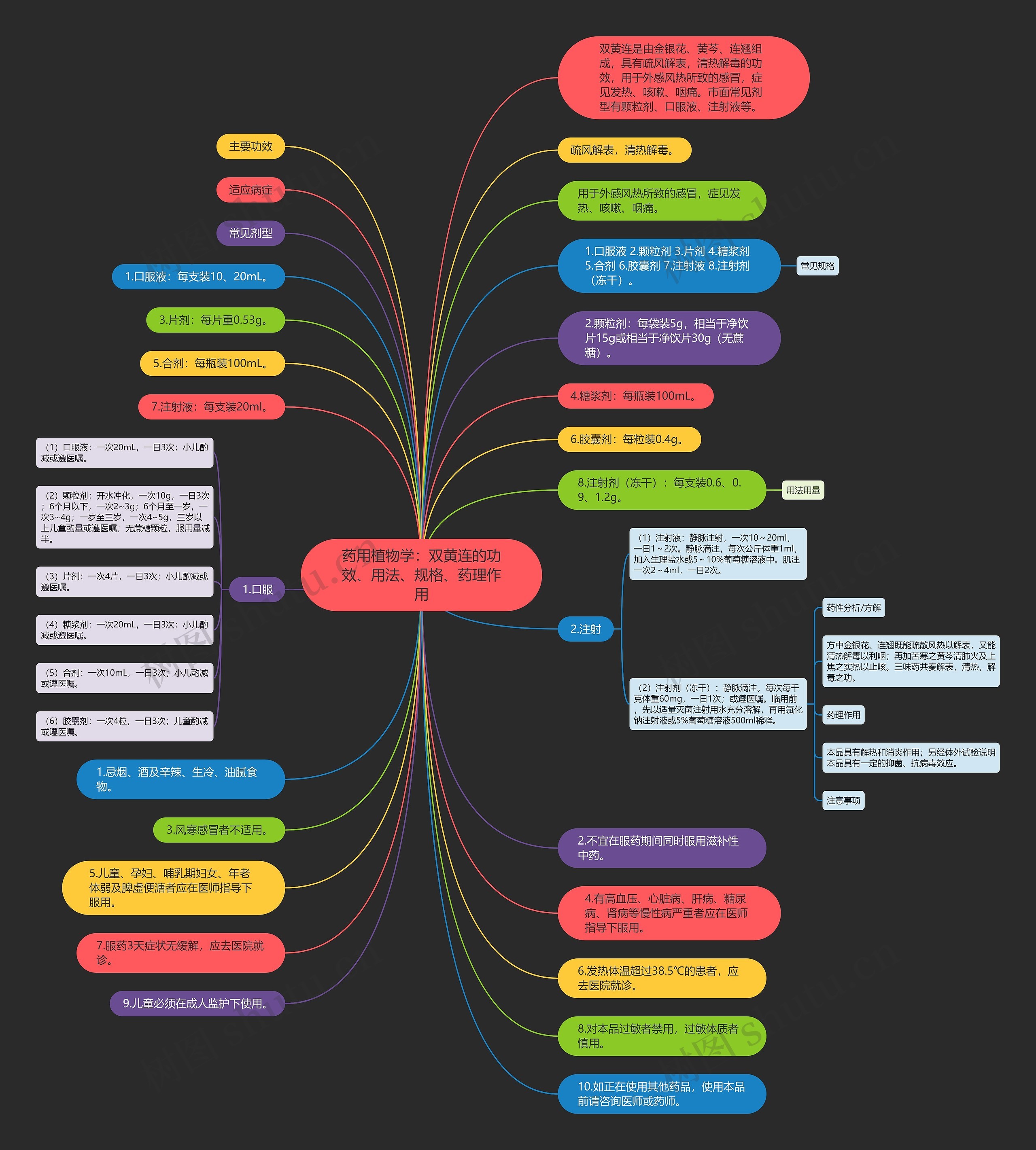 药用植物学：双黄连的功效、用法、规格、药理作用思维导图