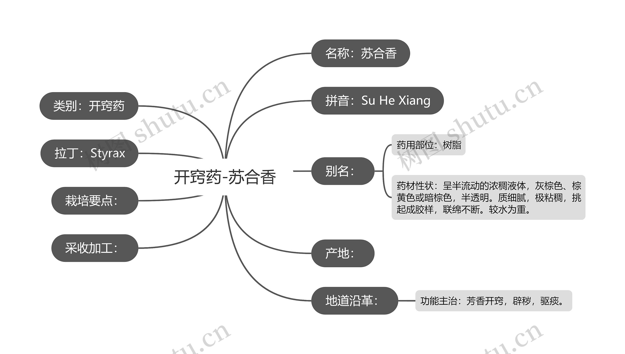 开窍药-苏合香思维导图