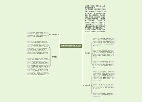 熟地黄的简介和鉴别方法