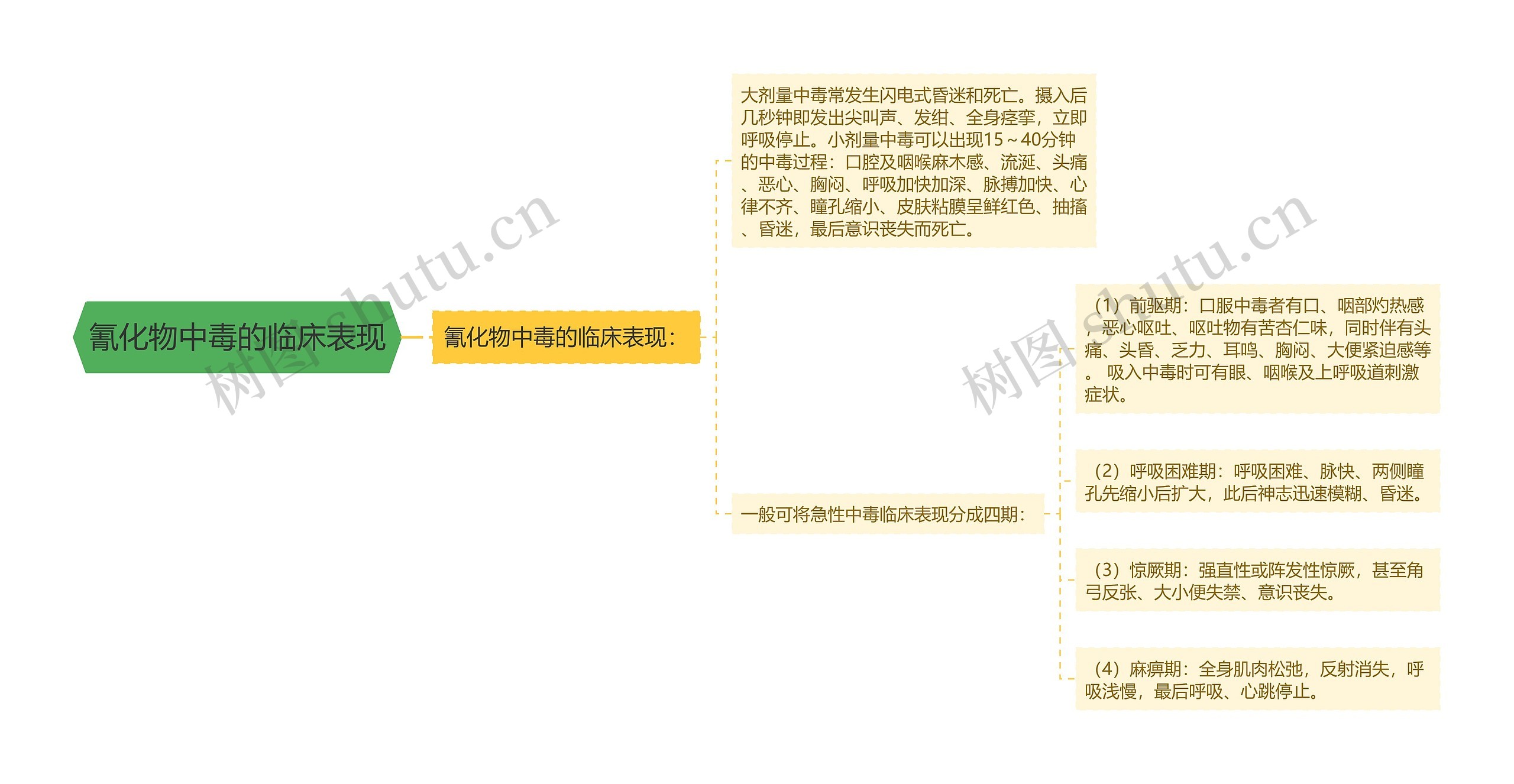 氰化物中毒的临床表现思维导图