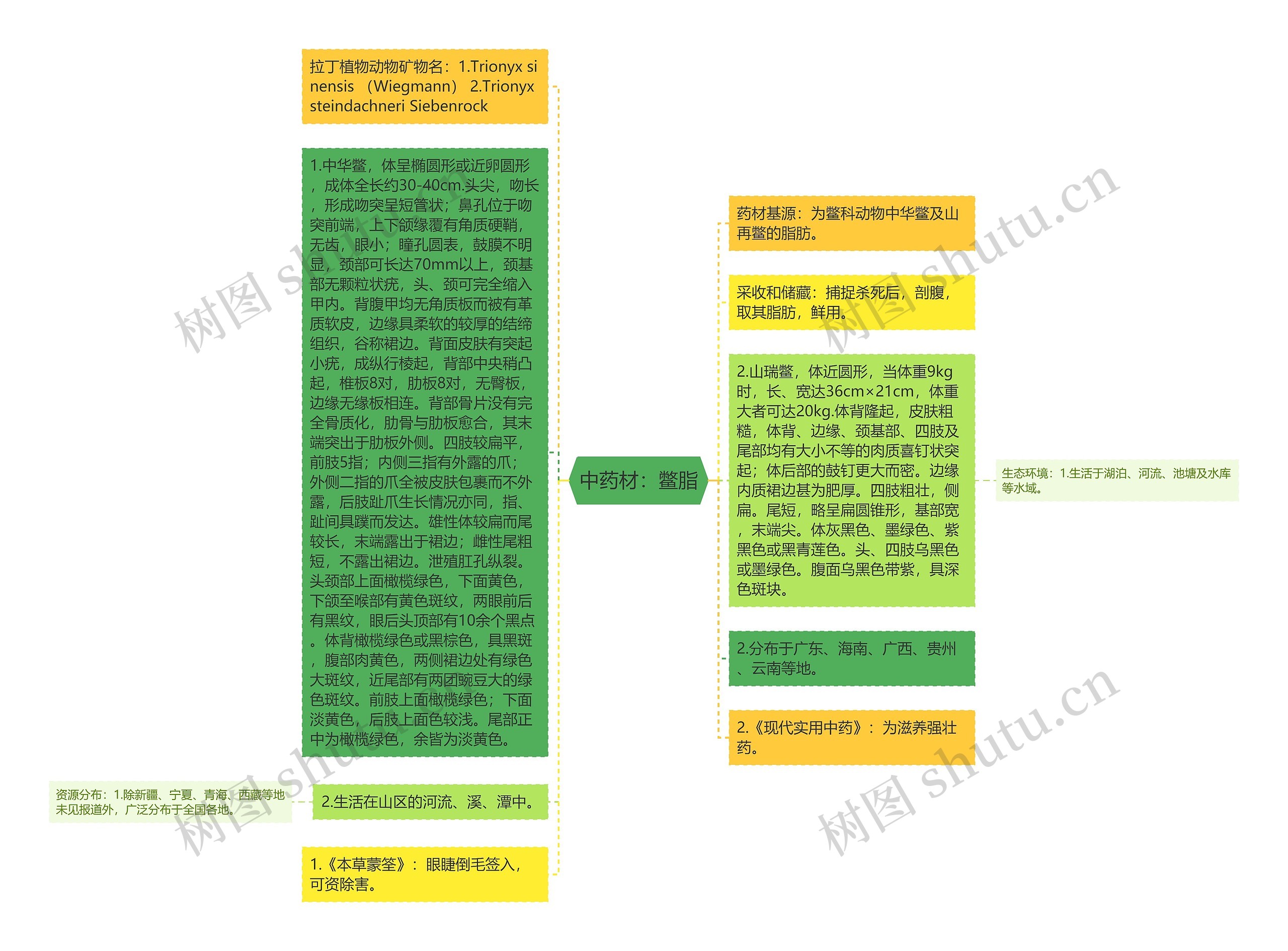 中药材：鳖脂思维导图