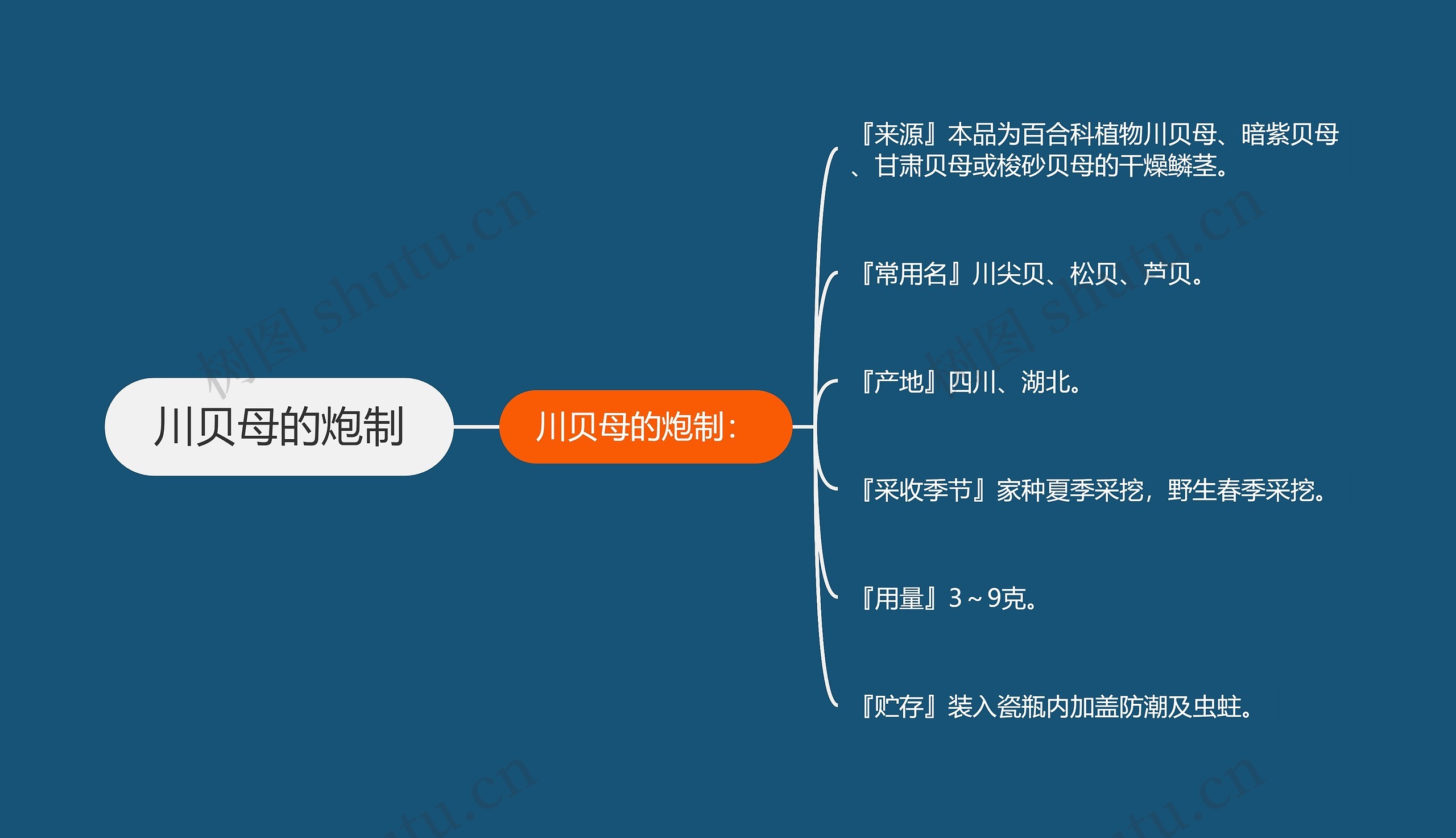 川贝母的炮制