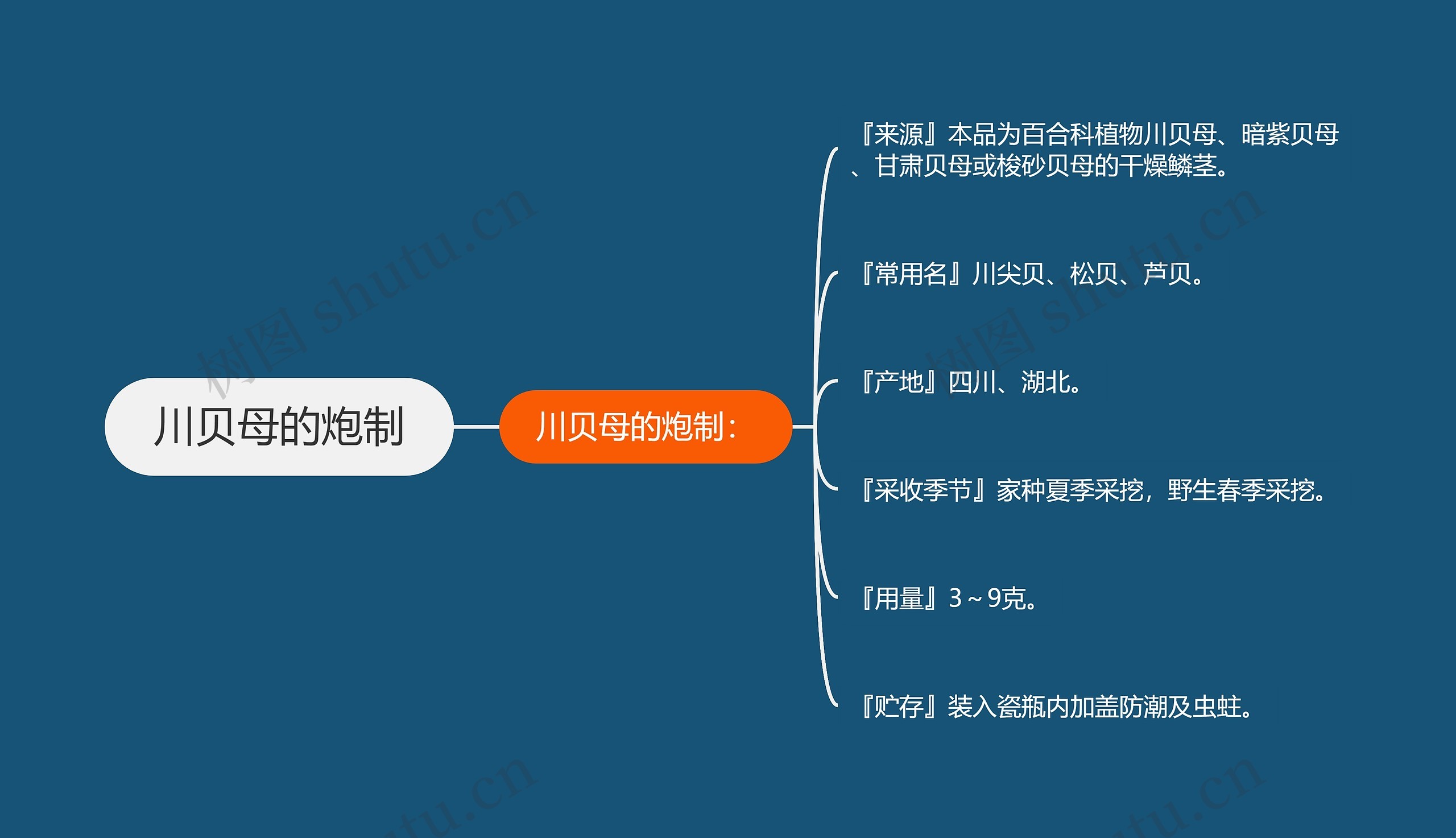 川贝母的炮制思维导图