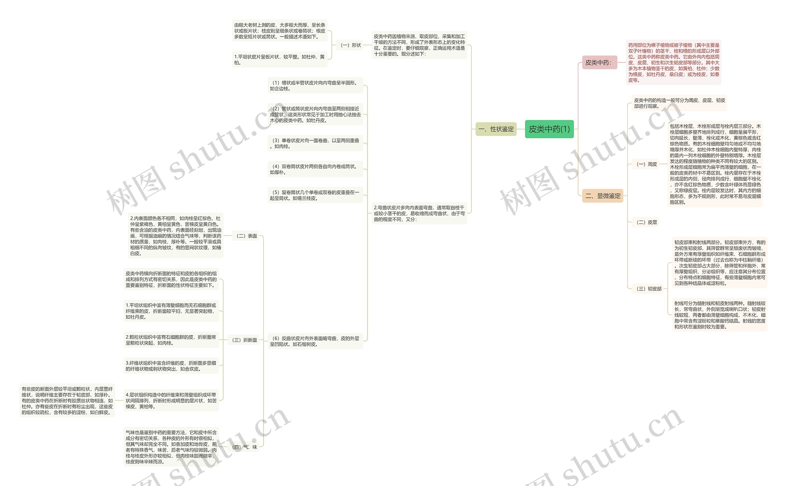 皮类中药(1)思维导图