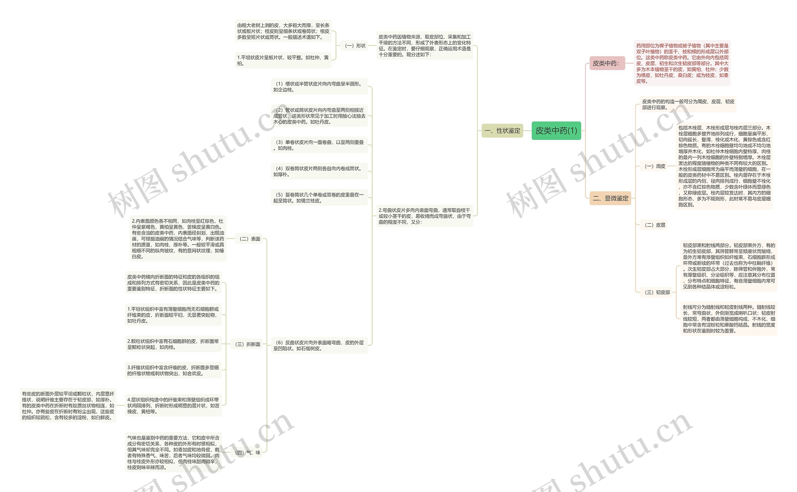 皮类中药(1) 皮类中药(1)