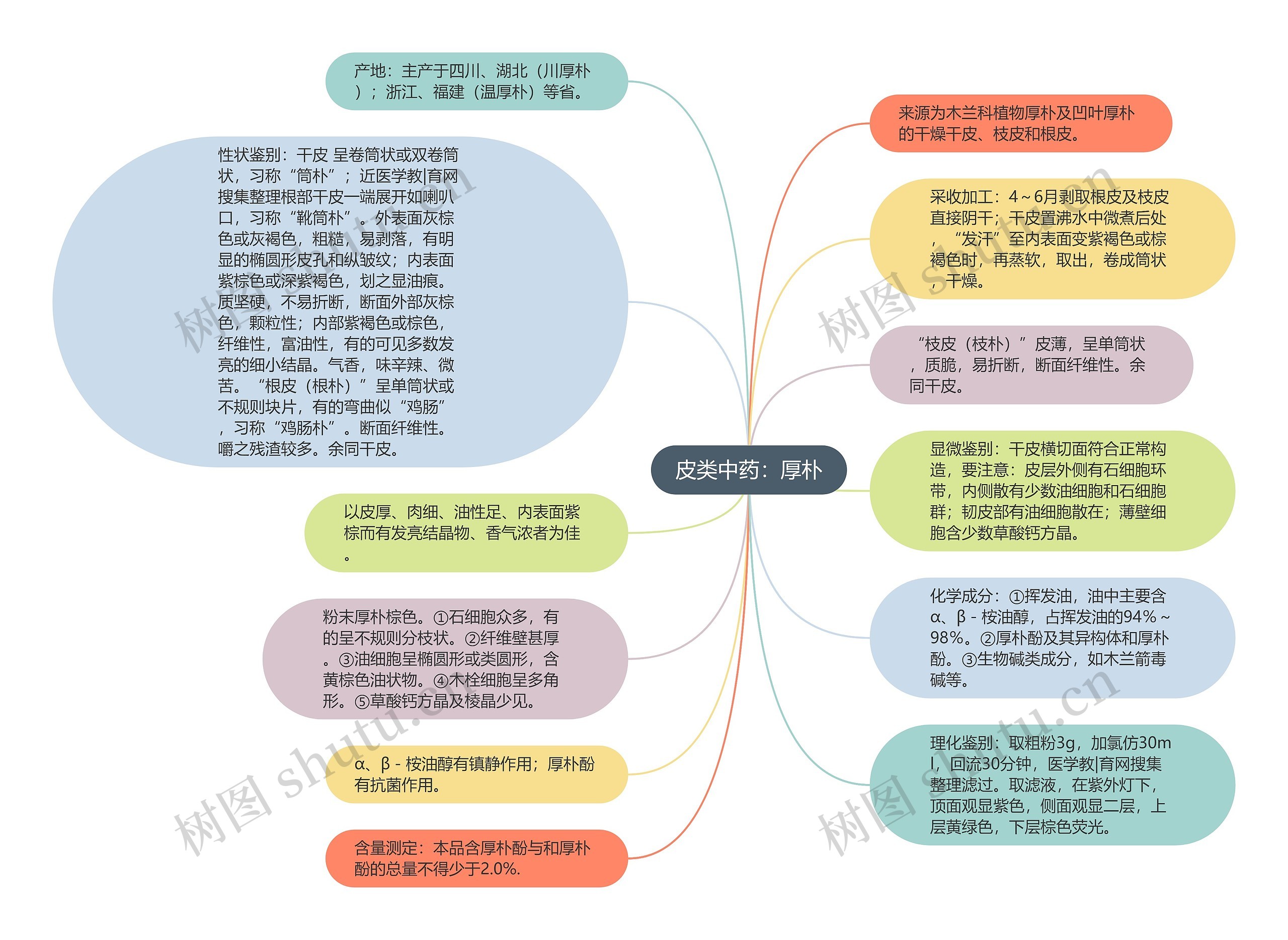 皮类中药：厚朴思维导图