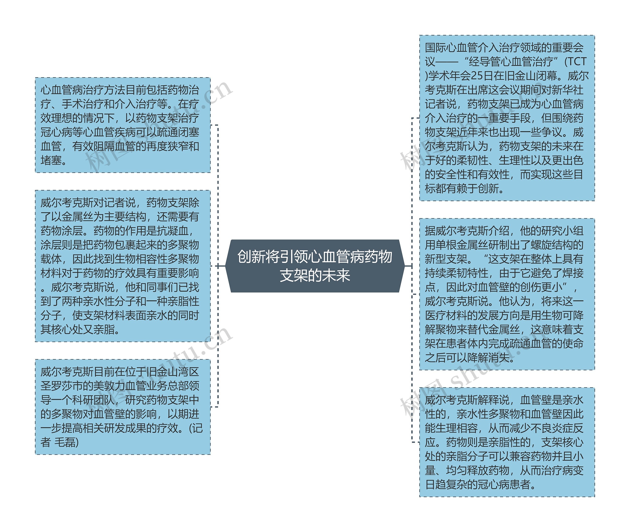 创新将引领心血管病药物支架的未来思维导图