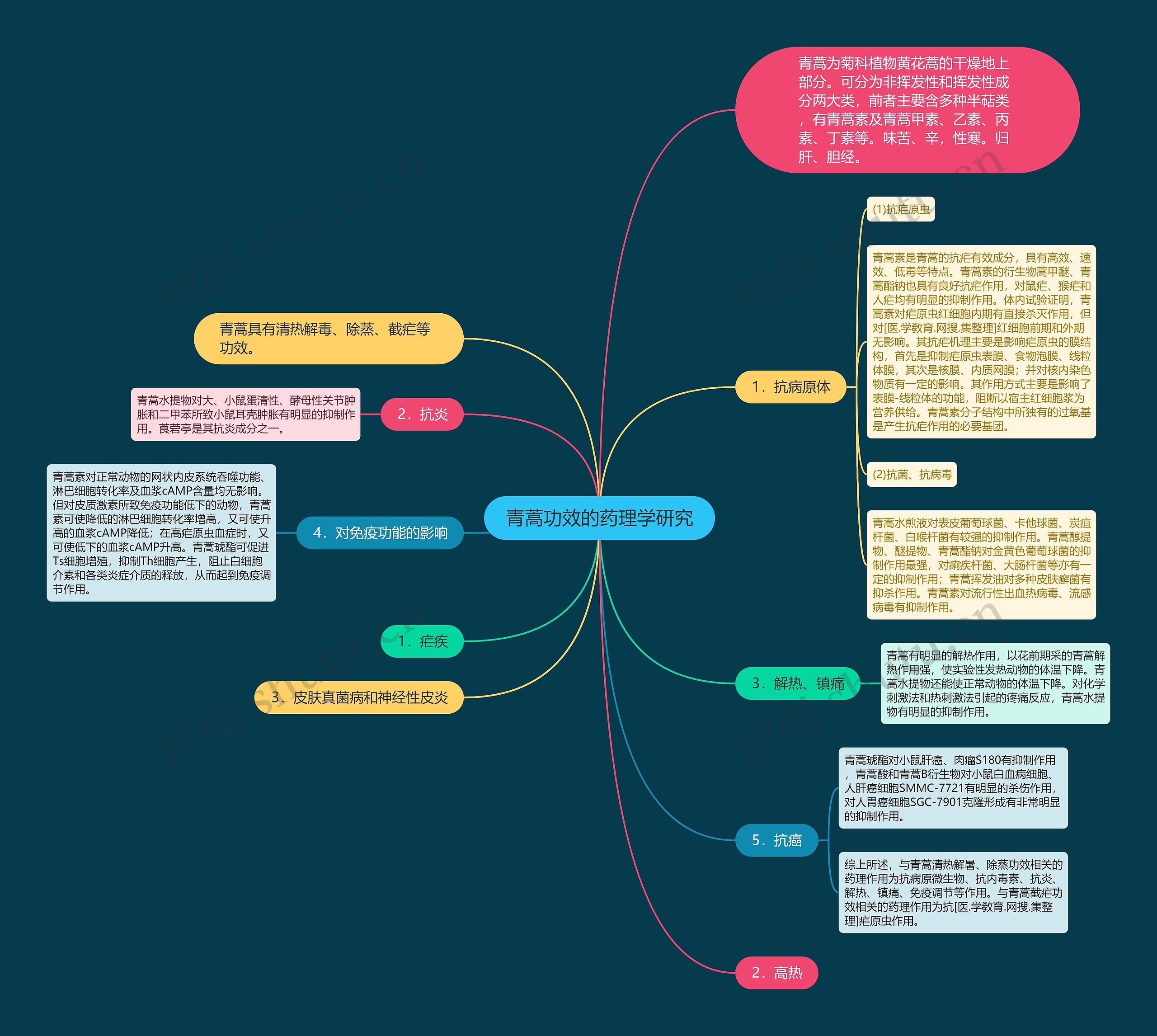 青蒿功效的药理学研究思维导图