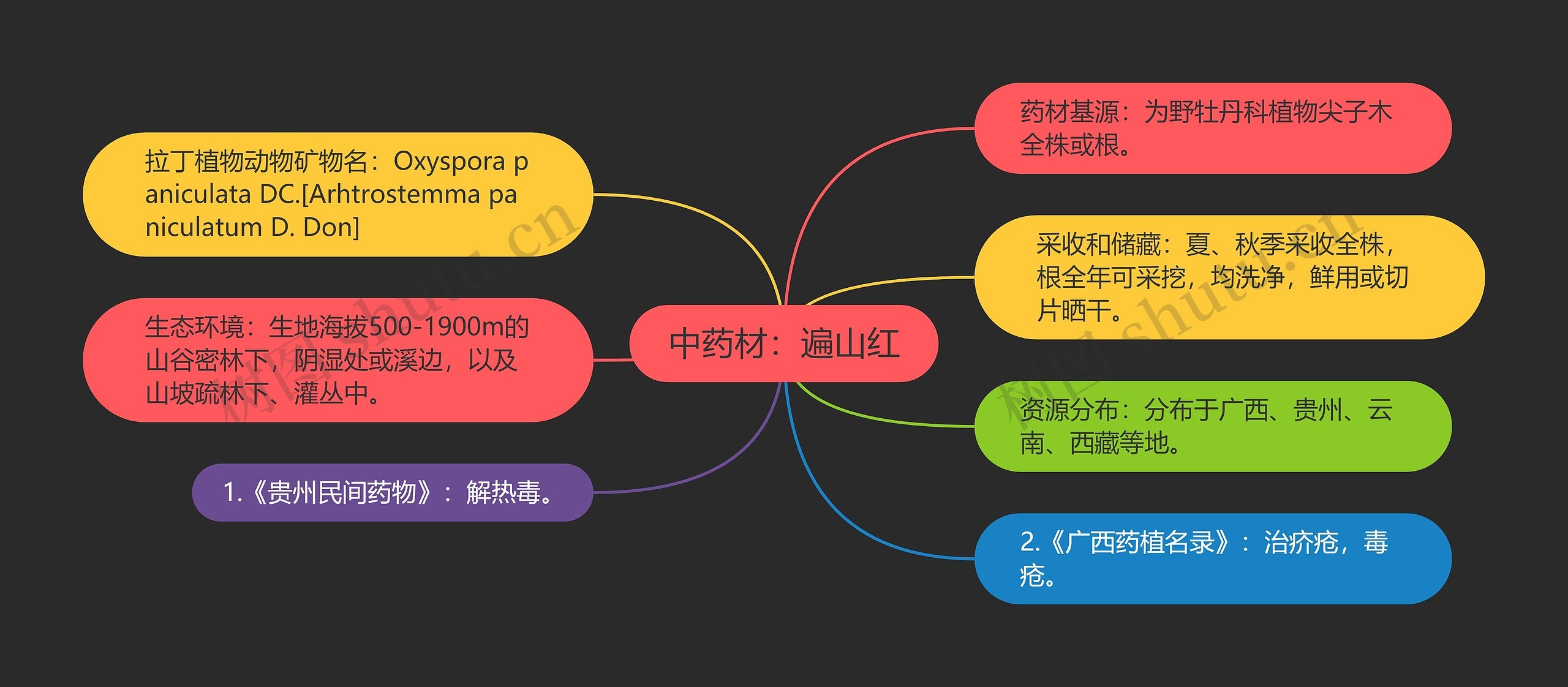 中药材：遍山红思维导图