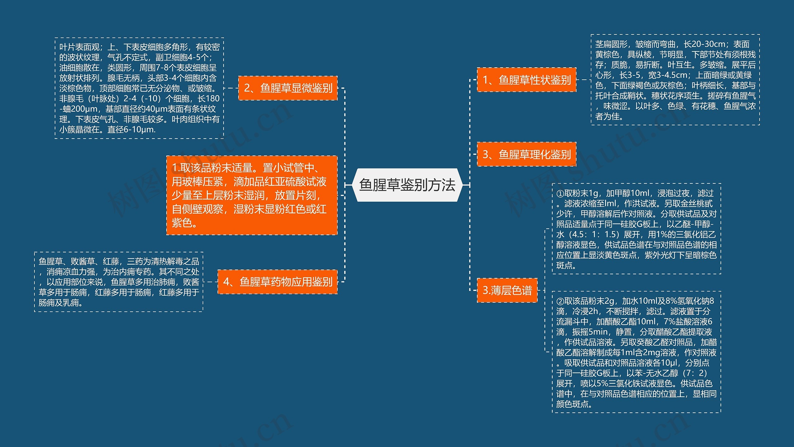 鱼腥草鉴别方法思维导图