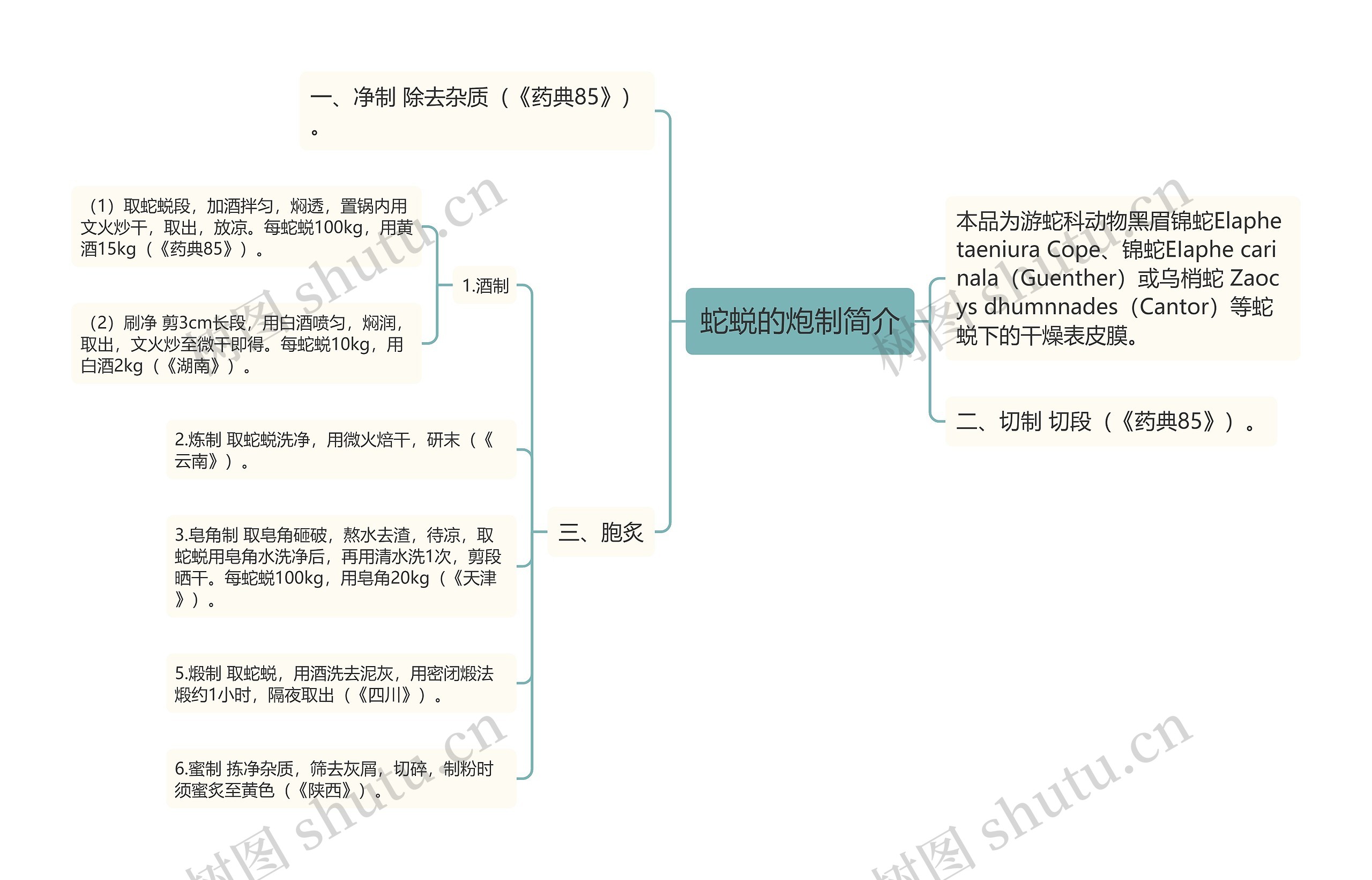 蛇蜕的炮制简介思维导图