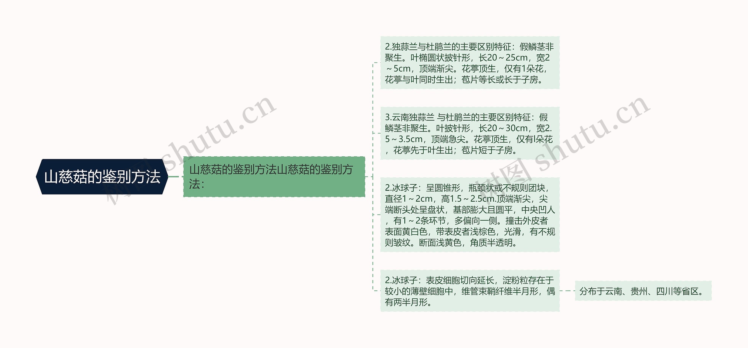 山慈菇的鉴别方法 山慈菇的鉴别方法