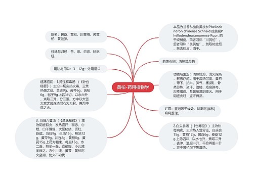 黄柏-药用植物学