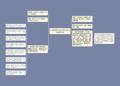 中药苍耳子的作用与功效及食用方法思维导图