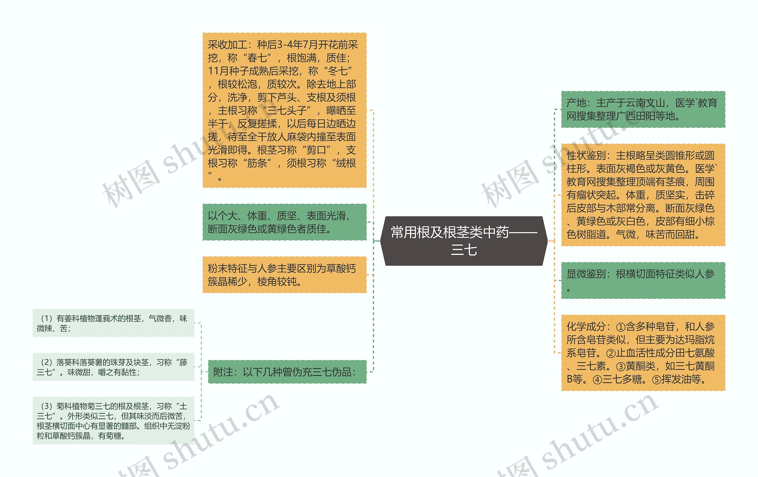 常用根及根茎类中药——三七思维导图