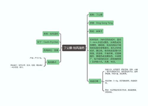 丁公藤-祛风湿药